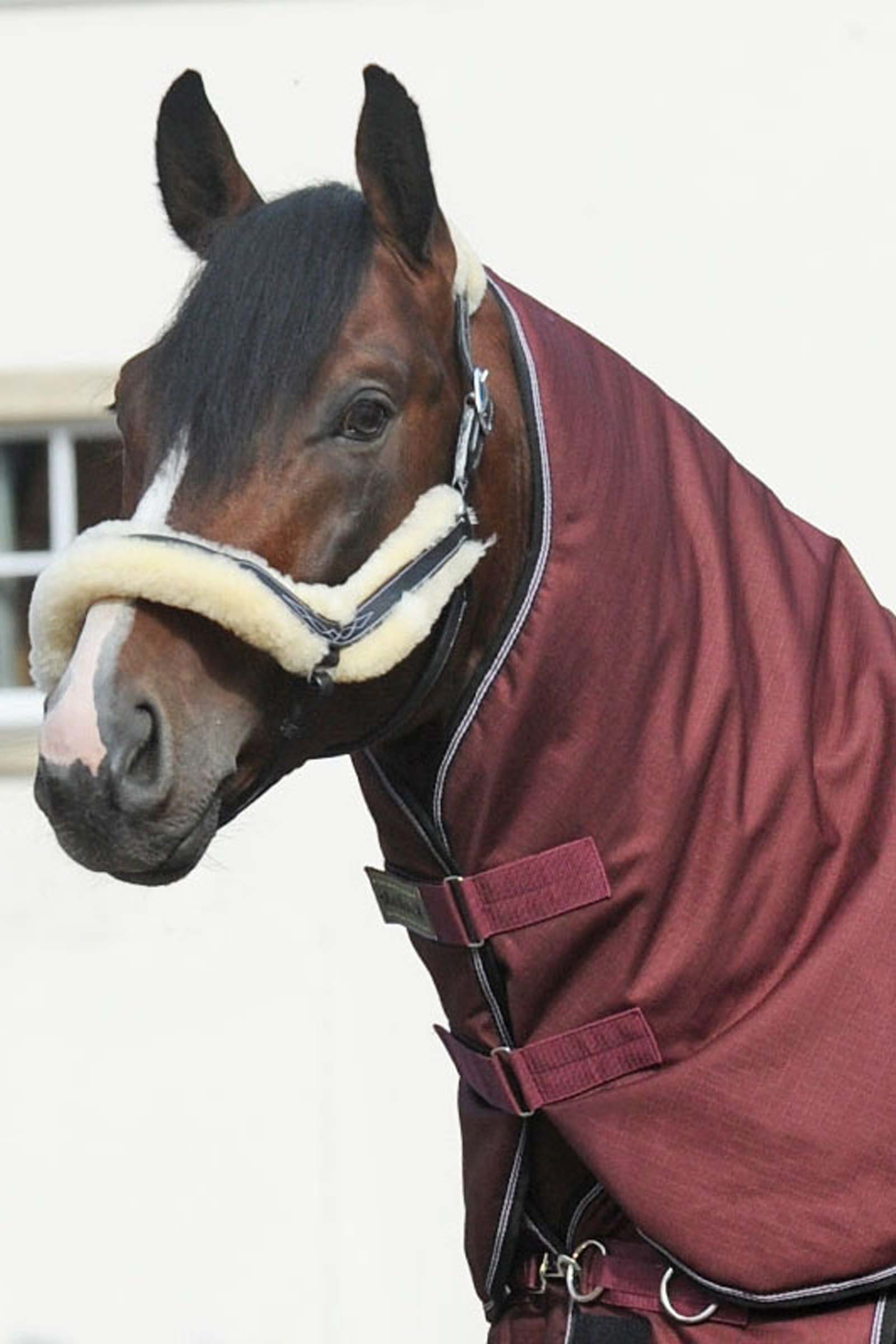 Kavalkade kaulakappale Alaska IV loimeen, 100 g