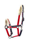 Tommy Hilfiger Equestrian GLOBAL Riimu