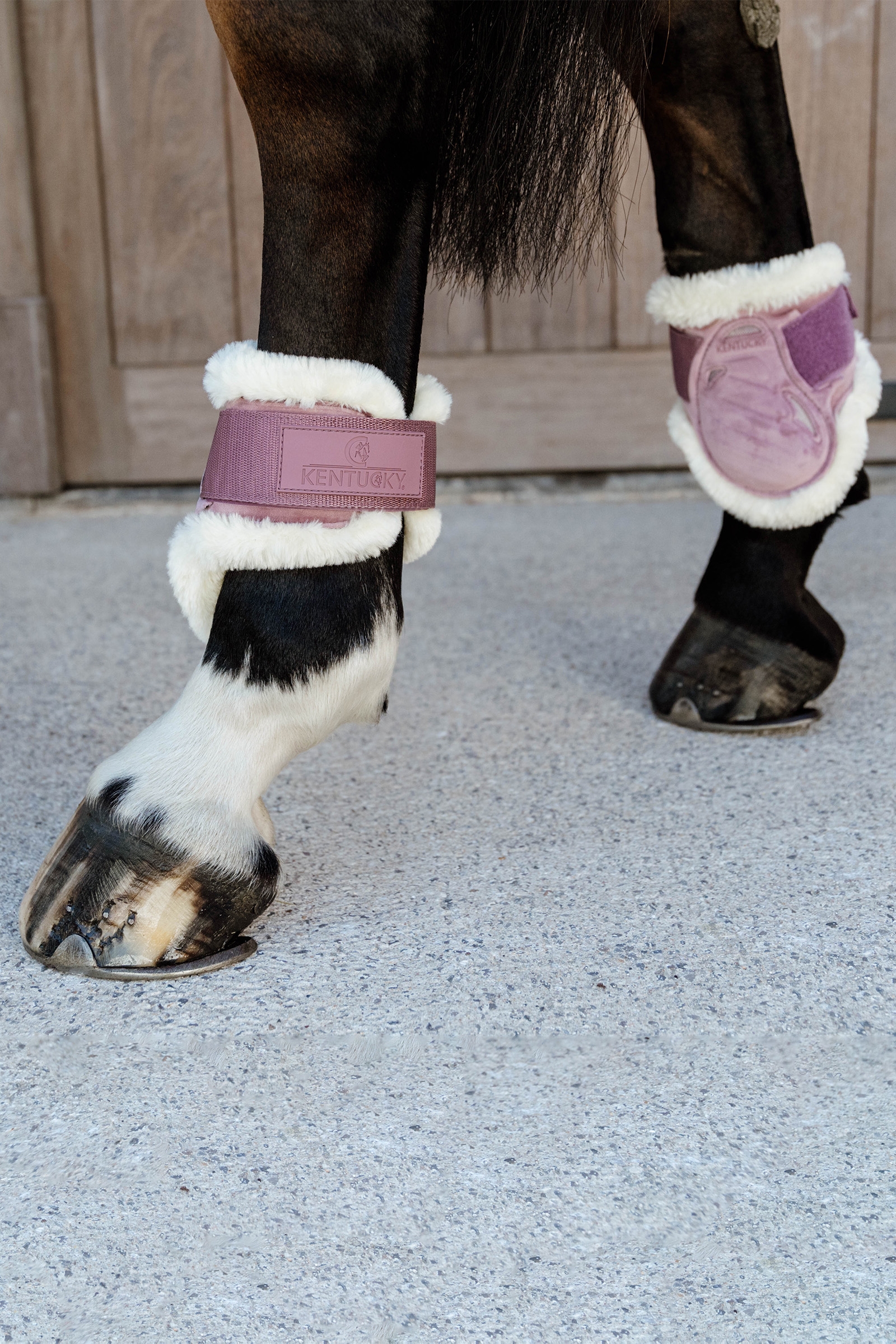 Kentucky Horsewear Vegaani lampaannahkainen Young Horse Fetlock Boots Velvet