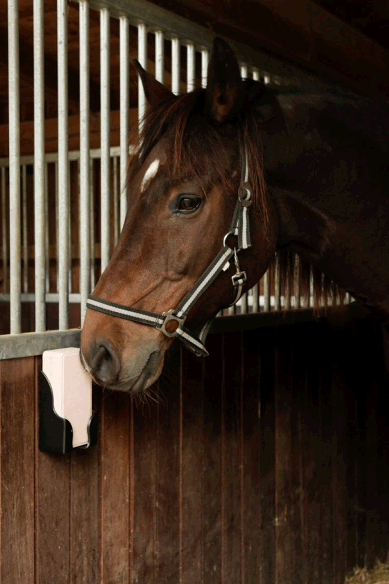 Kerbl nuolukiviteline suorakulmaisille kiville