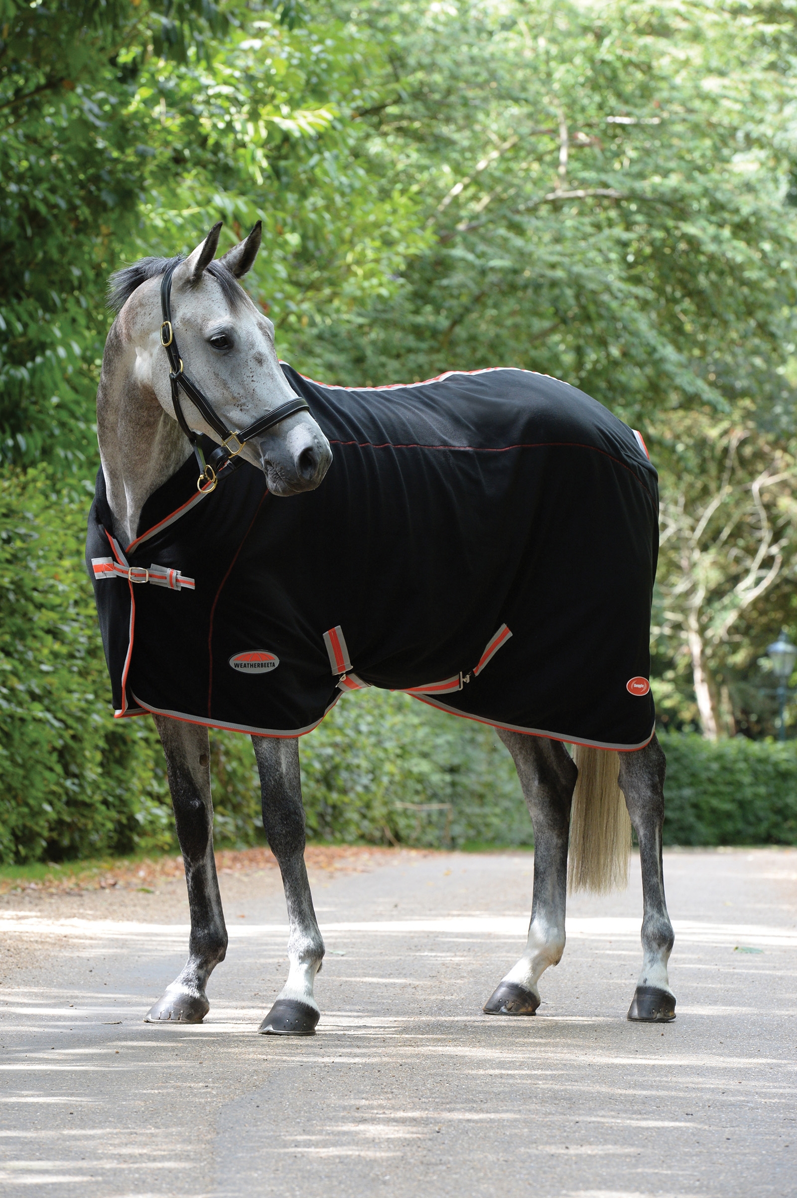 Weatherbeeta Therapy-Tec loimi standardi kaula-aukolla