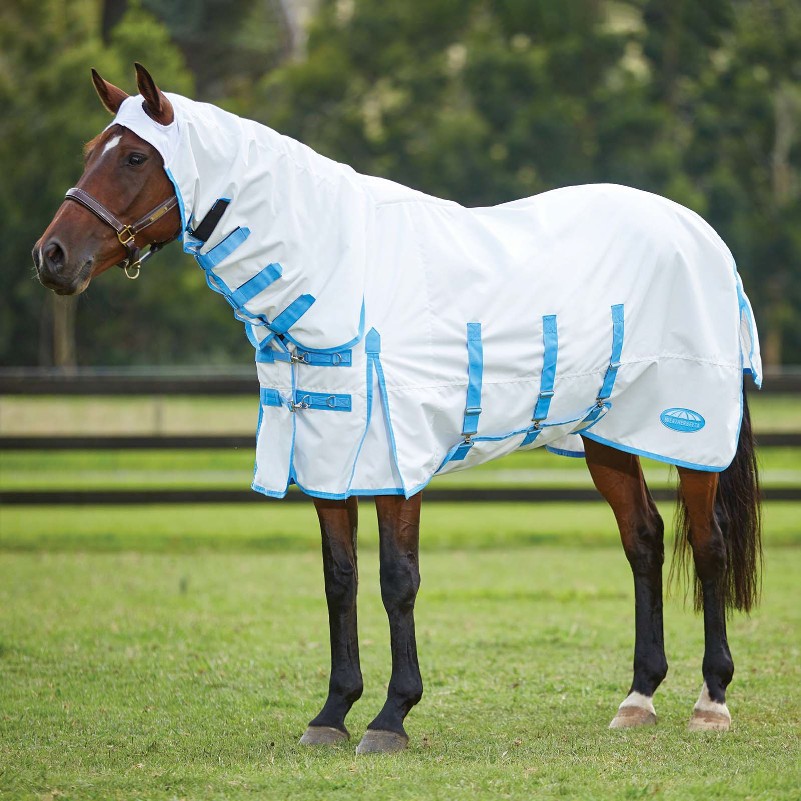 Weatherbeeta Comfitec ihottumaloimi kiinteällä kaulaosalla