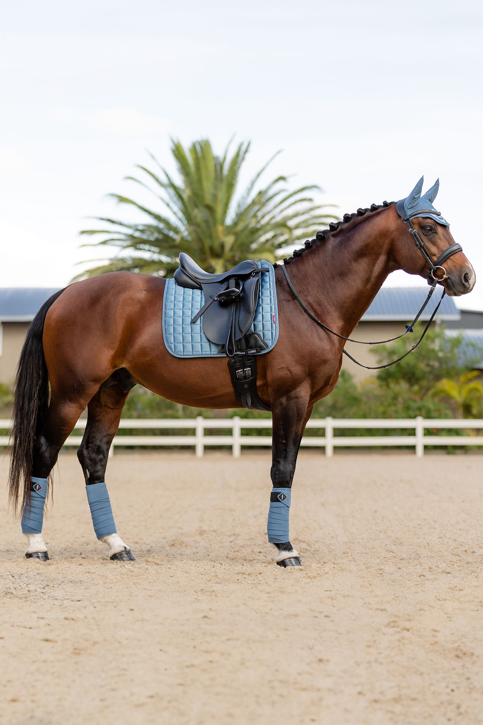 LeMieux Loire Memory Koulusatulahuopa