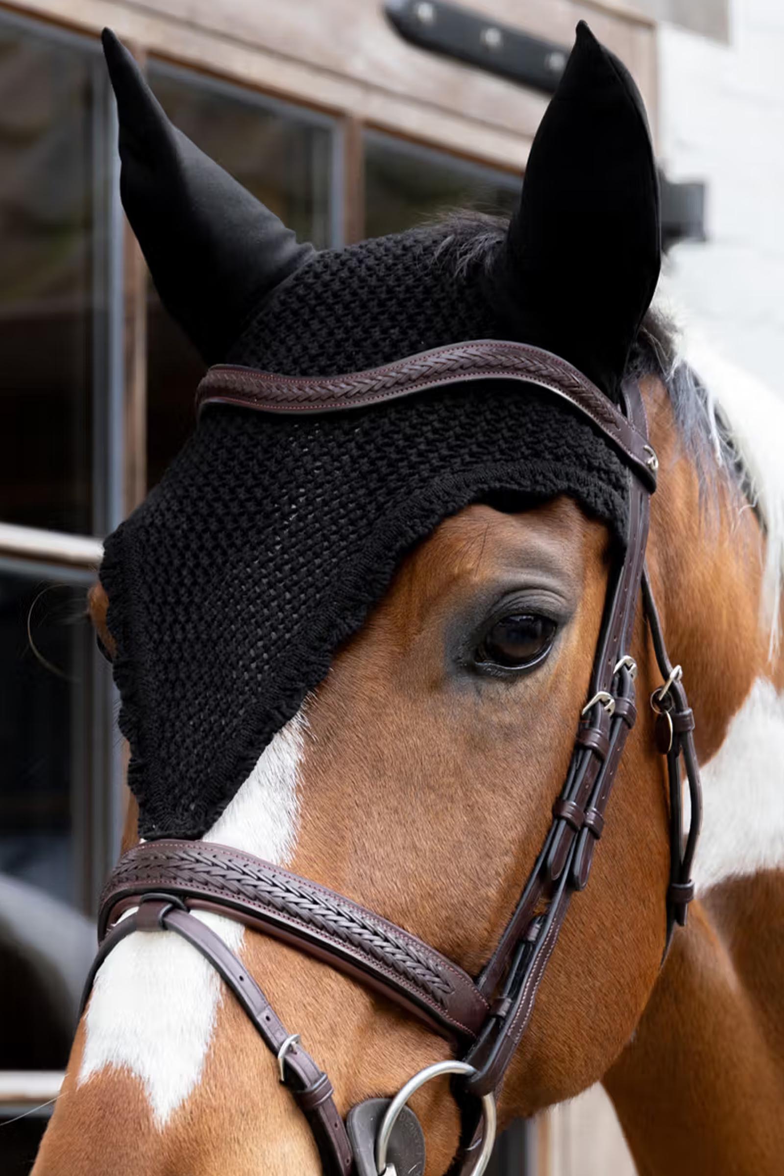 Kentucky pitk&auml; k&auml;rp&auml;shuppu  