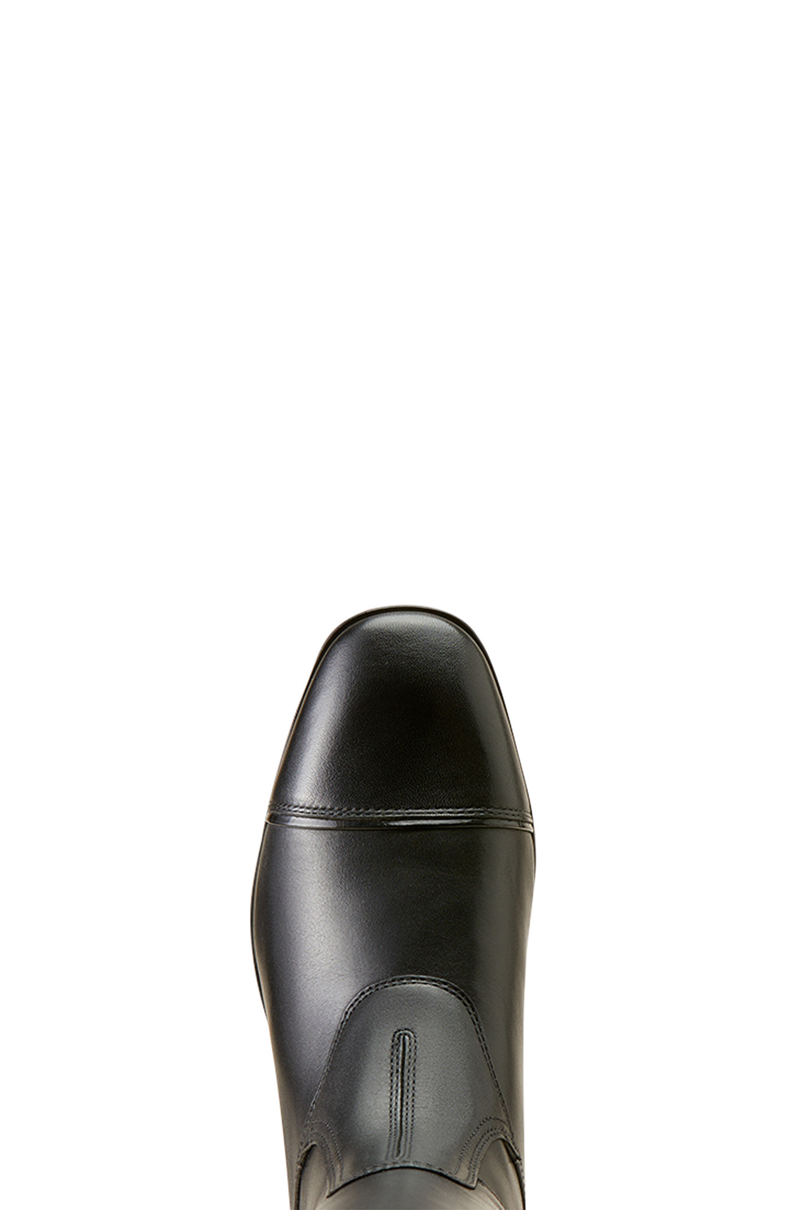 Ariat Naisten Palisade Korkeat N&auml;yttelyratsastussaappaat