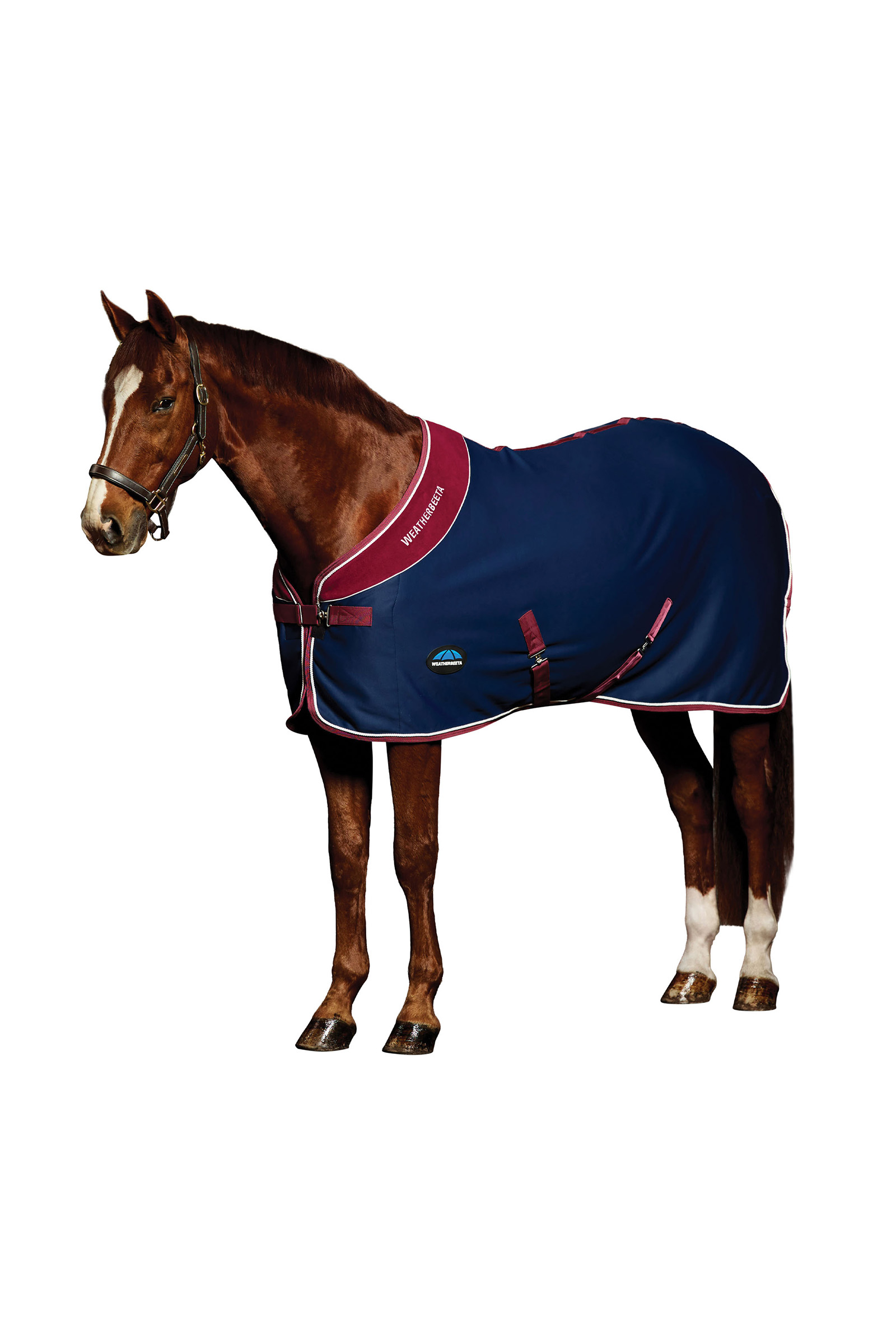 Weatherbeeta Opulence Showpeitto Standard kaula