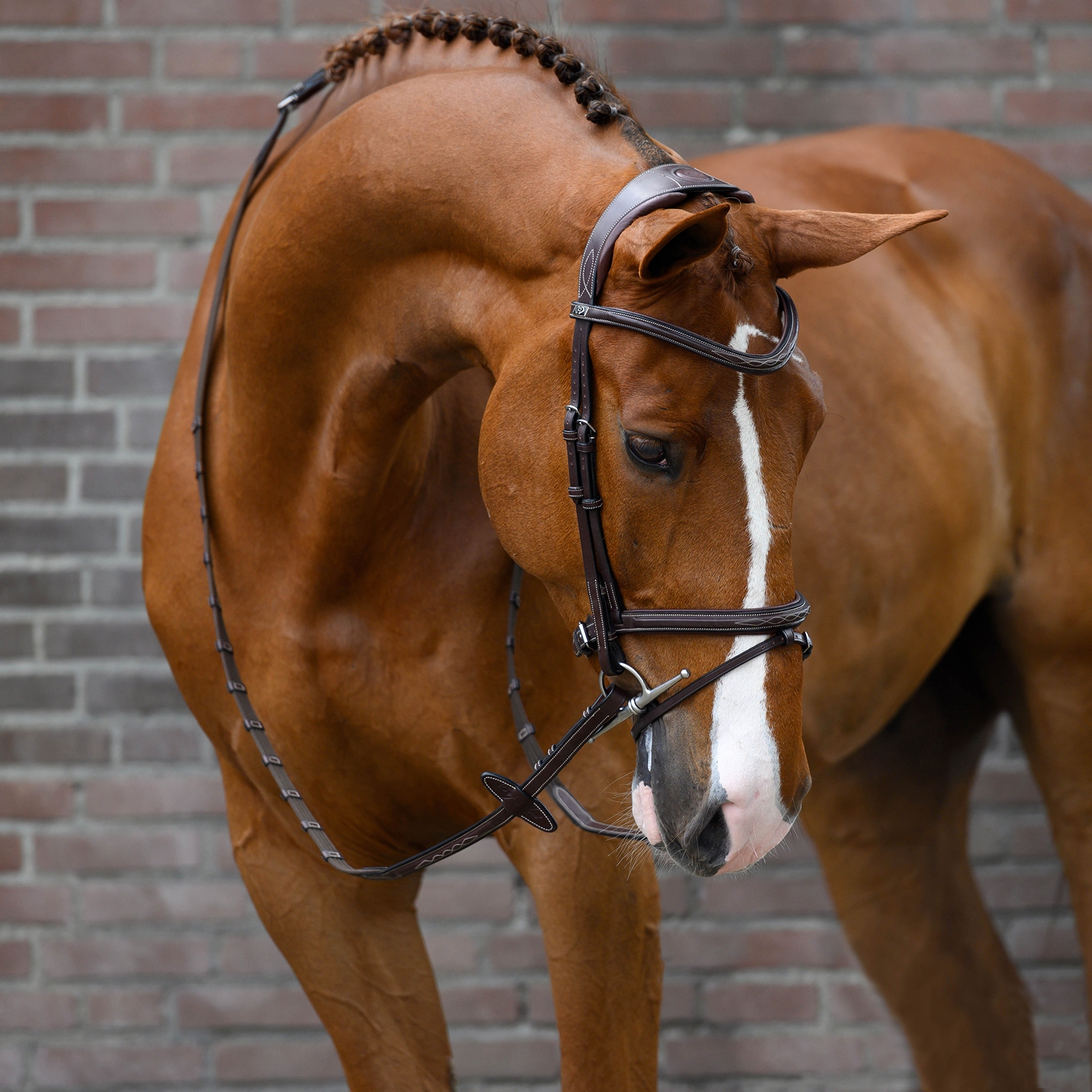 PS of Sweden Stockholm suitset