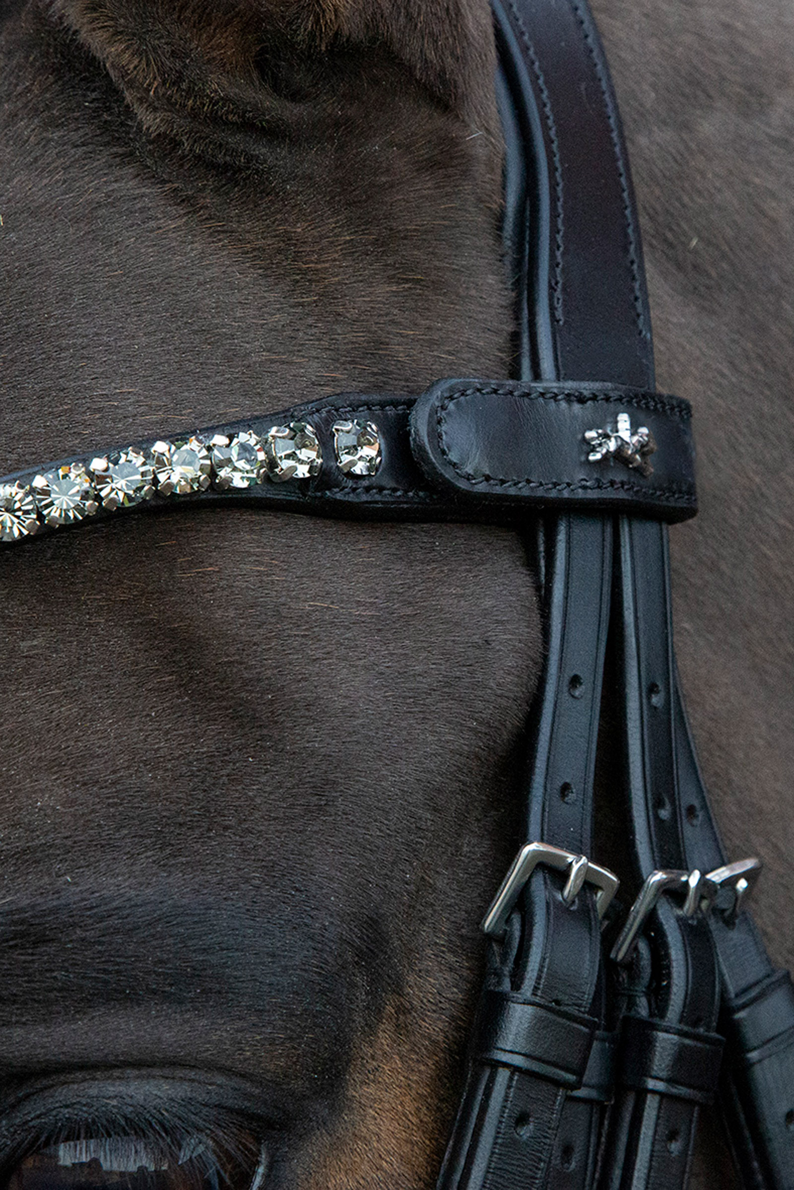 Schockemöhle Sports Milazzo Kankisuitset