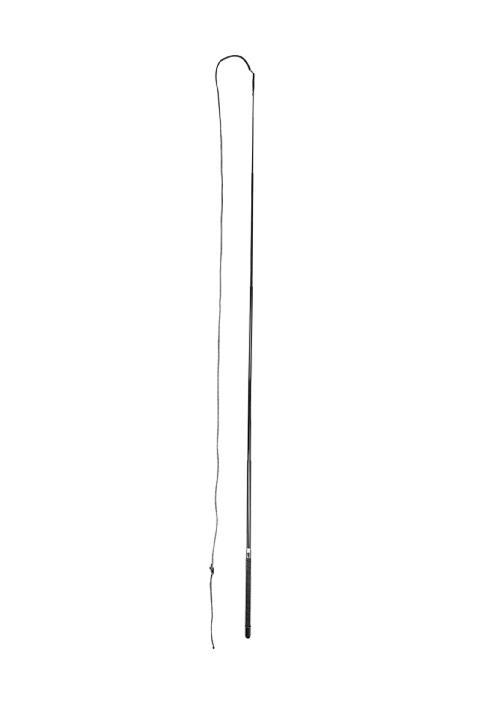 Pitkäpiiska Superlight, Waldhausenilta