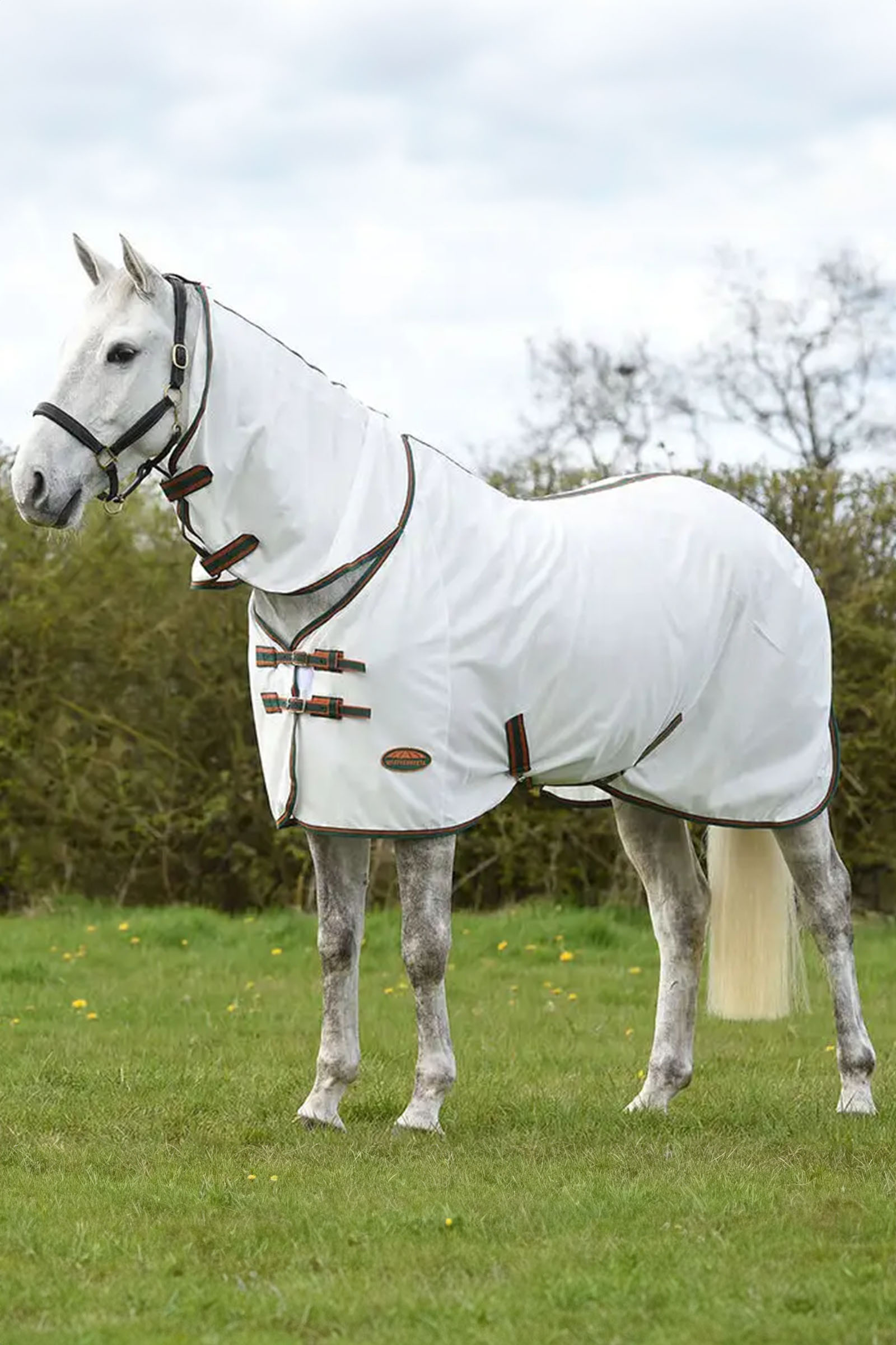 Weatherbeeta Comfitec Tyro verkkoloimi kaulakappaleella