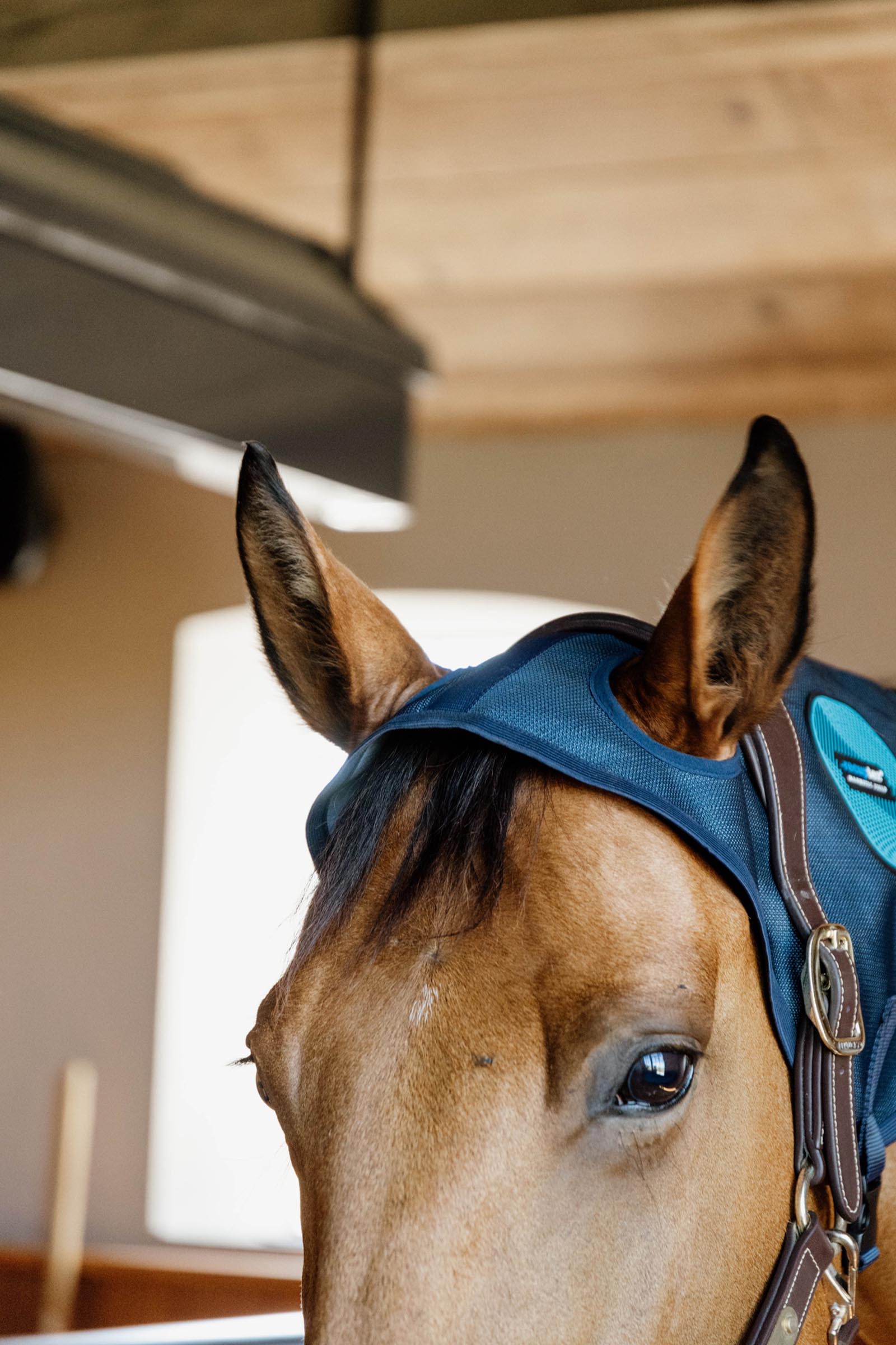 Kentucky Horseware Recuptex magneettinen niskasuojus