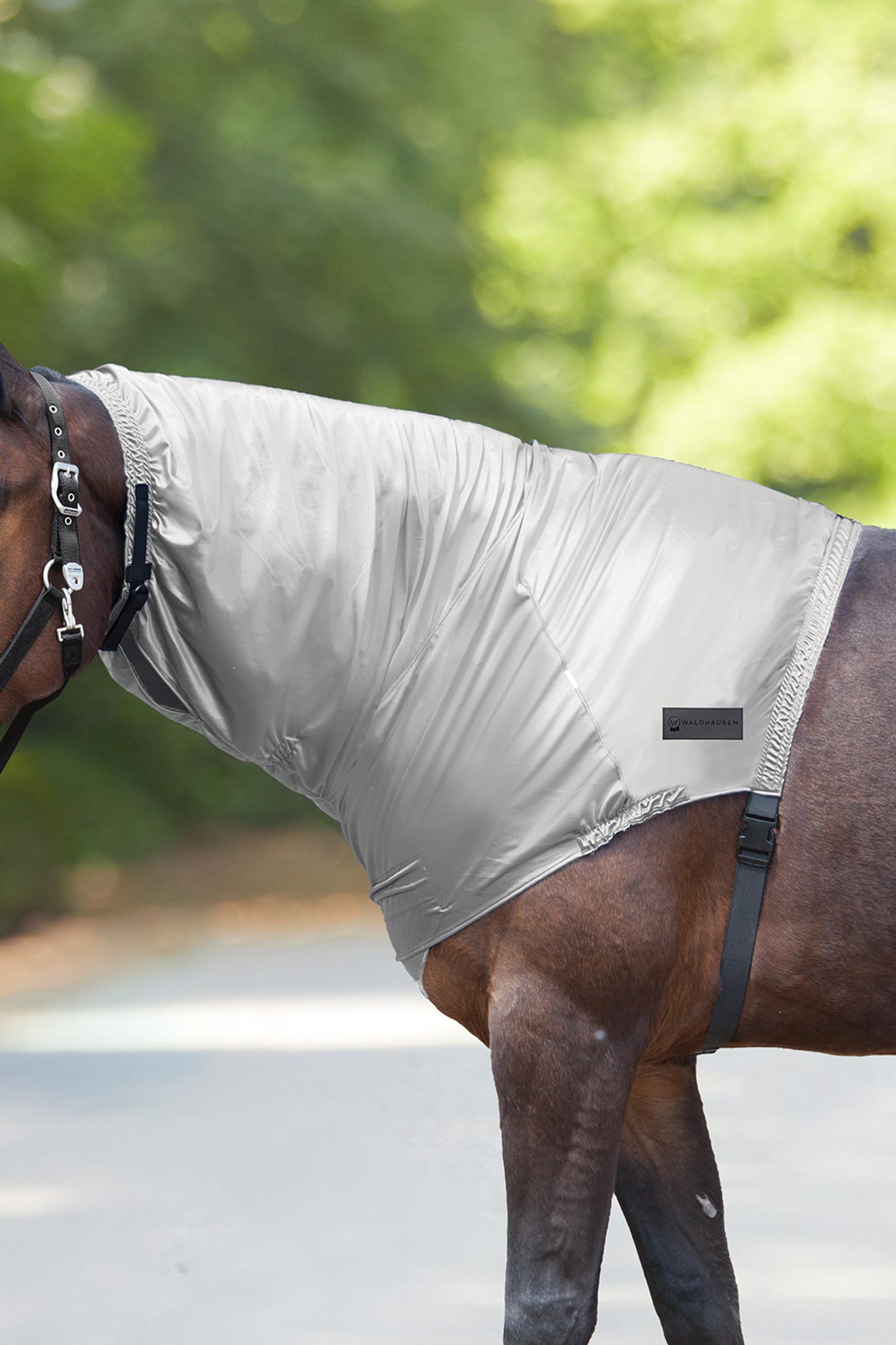 Silver Grey Waldhausen ekseema kaulakappale