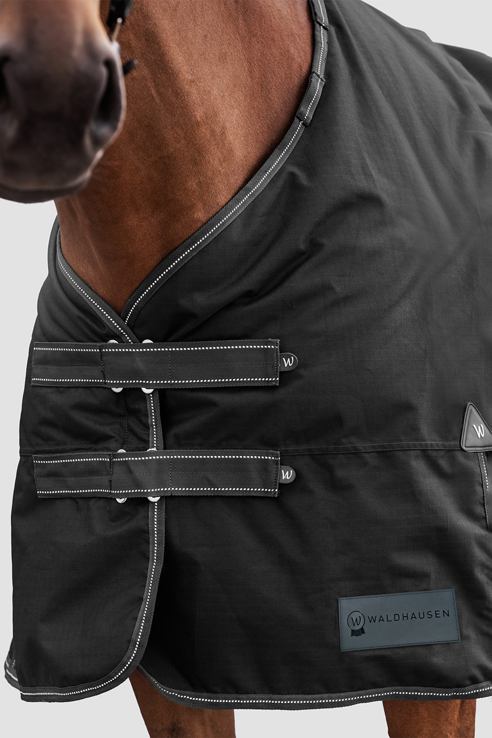 Waldhausen ulkoloimi Arctic 300 g