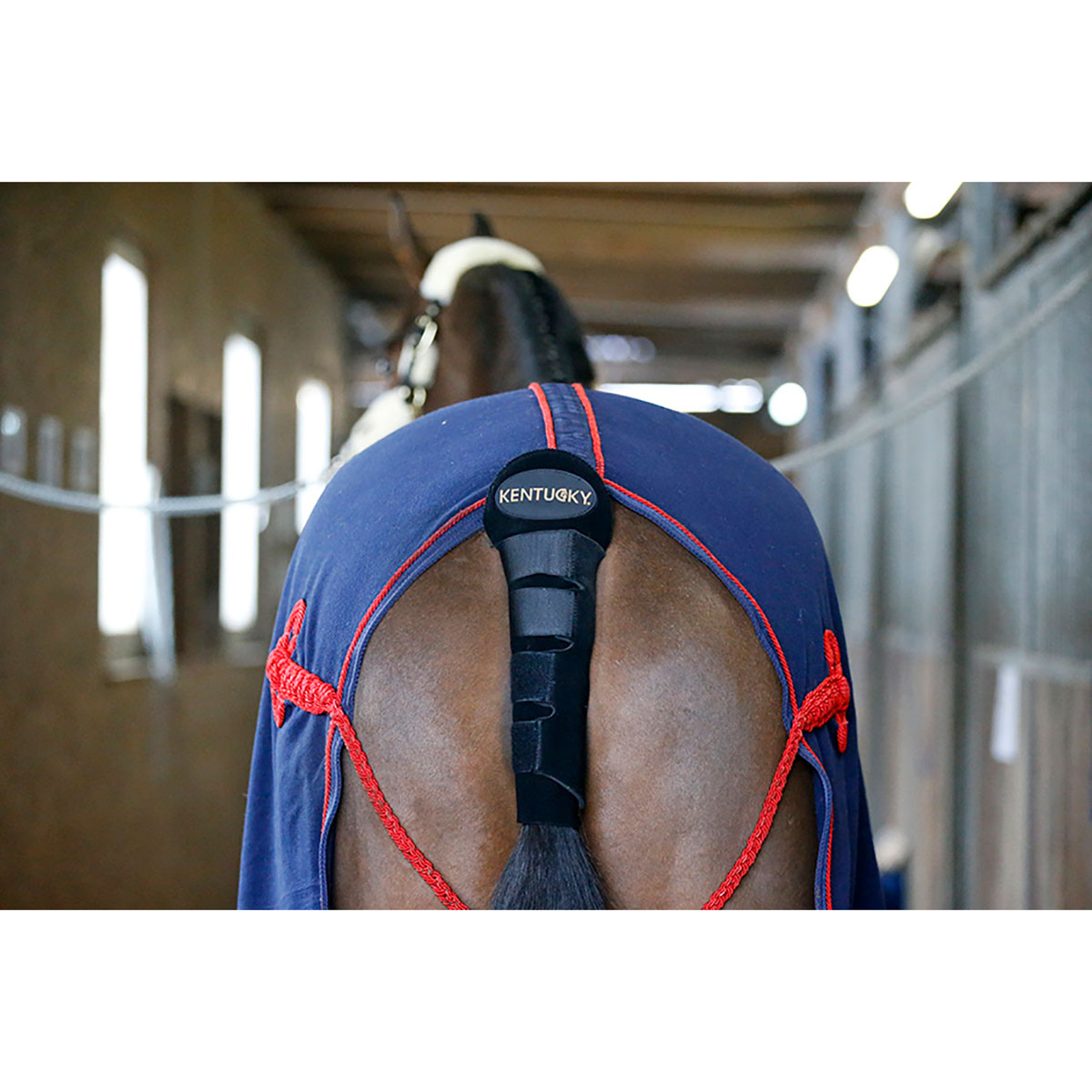 Kentucky Horsewear H&auml;nt&auml;suoja/h&auml;nt&auml;pussi