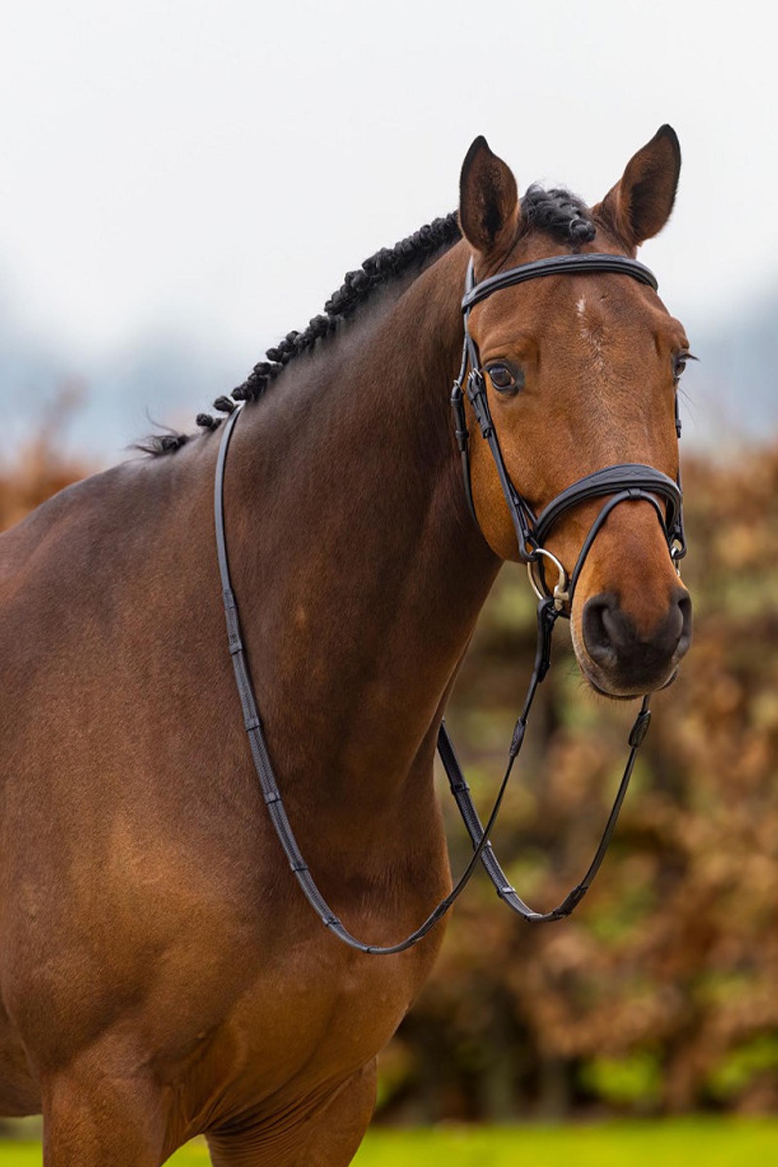 Trust Equestrian Amsterdam Yhdistetty nen&auml;nauha anatomiset suitset