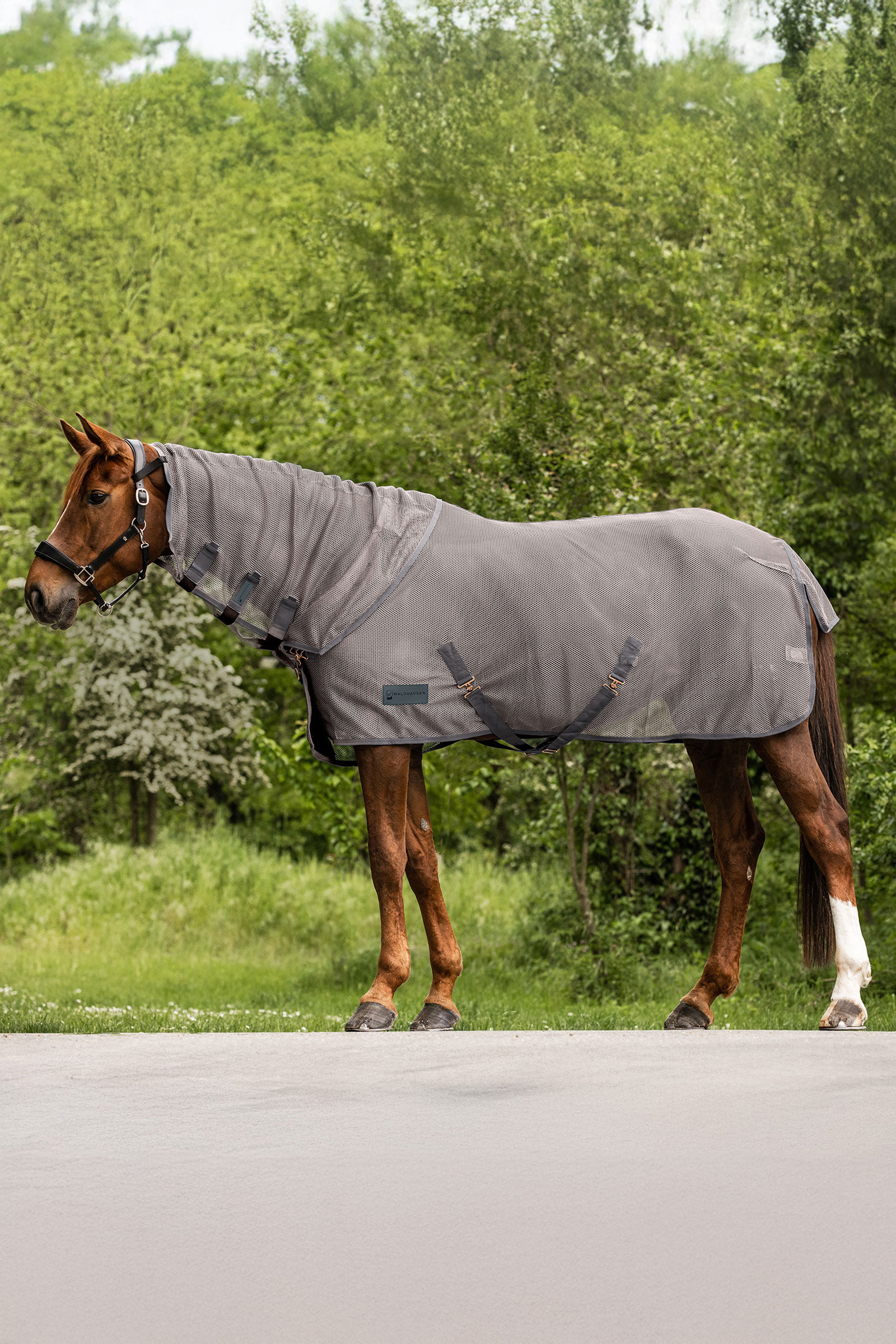 Waldhausen Comfort k&auml;rp&auml;ssuojakaulakappale