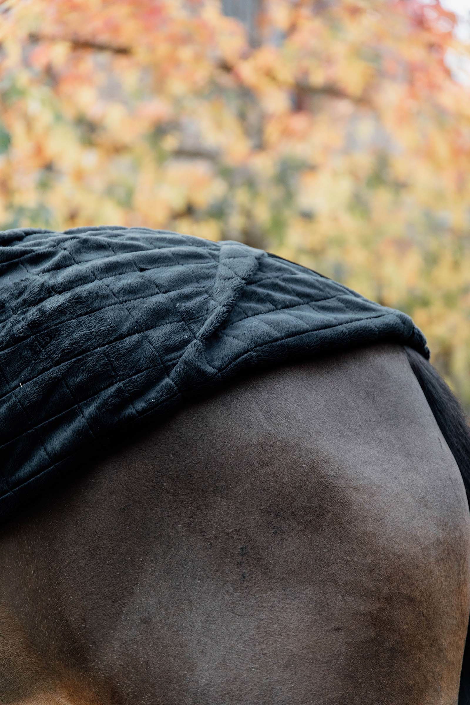 Kentucky Horsewear Stable Rug, 0g