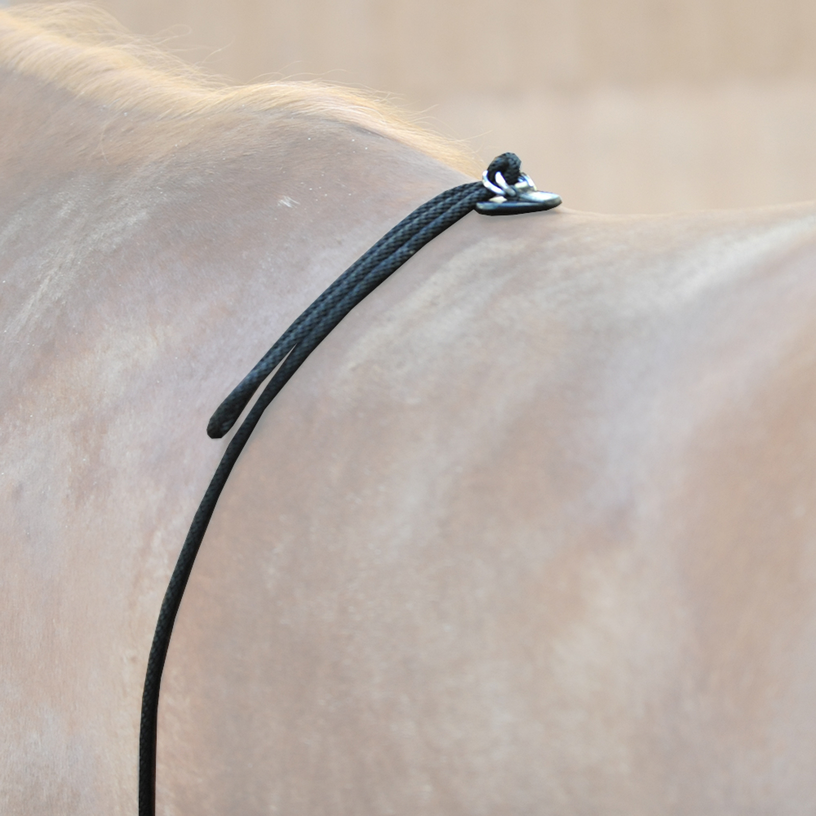 Kavalkade HO juoksutusapu