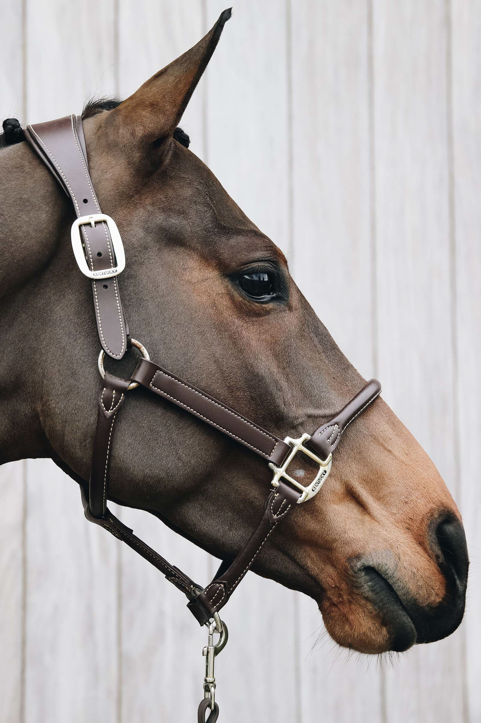 Kentucky Horsewear nahkariimu anatomisella muotoilulla