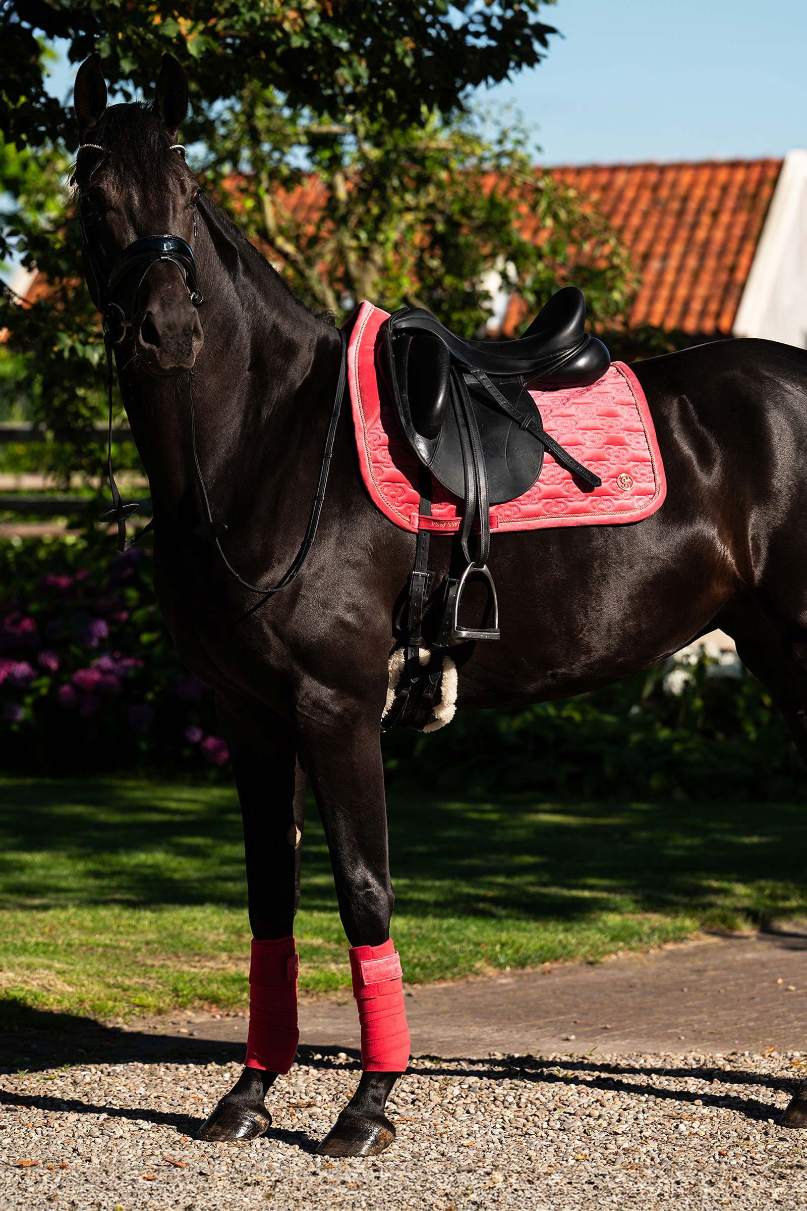 PS of Sweden satulahuovat Velvet Monogram kouluratsastus