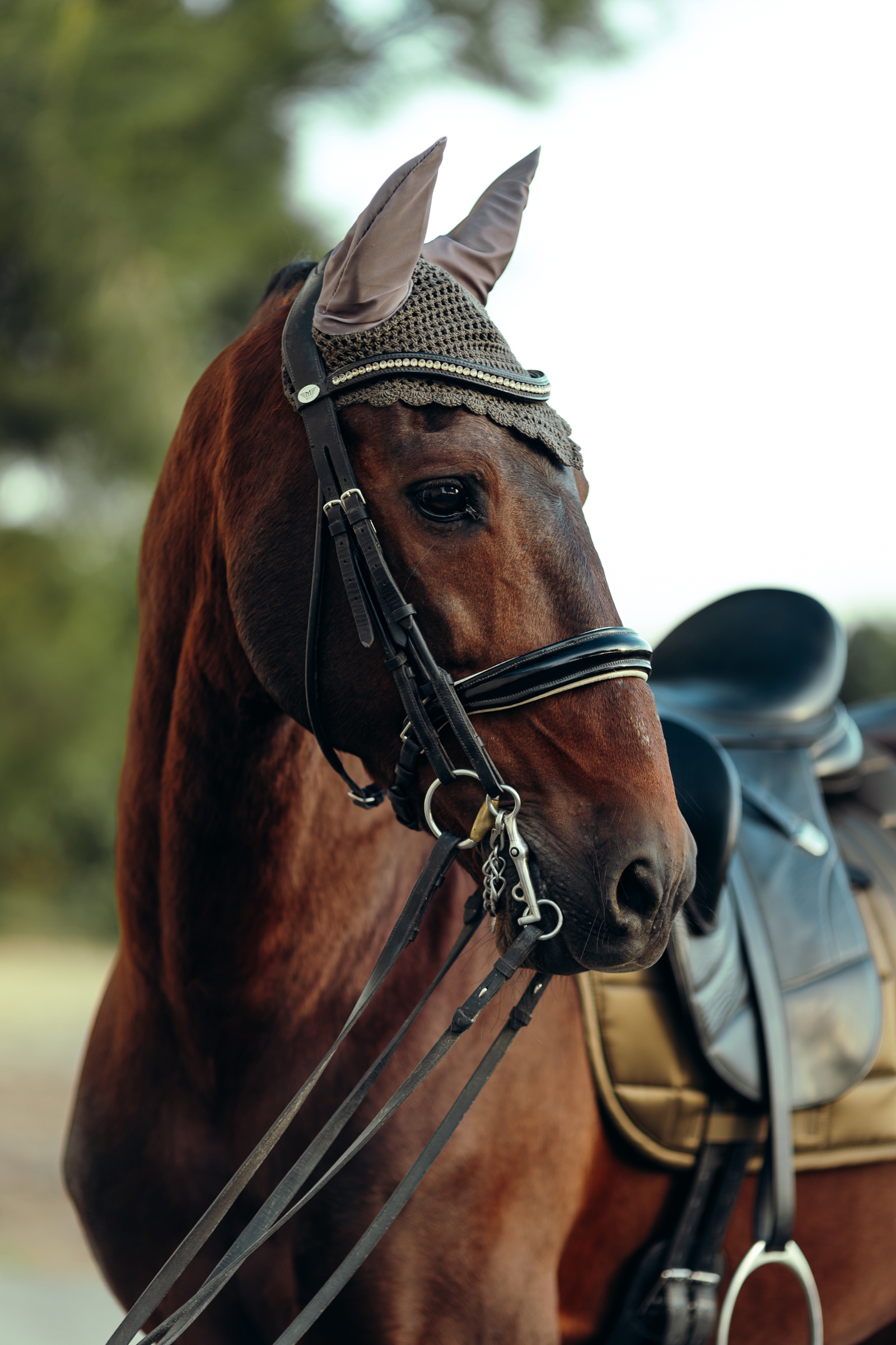 B Vertigo Drew korvahuppu