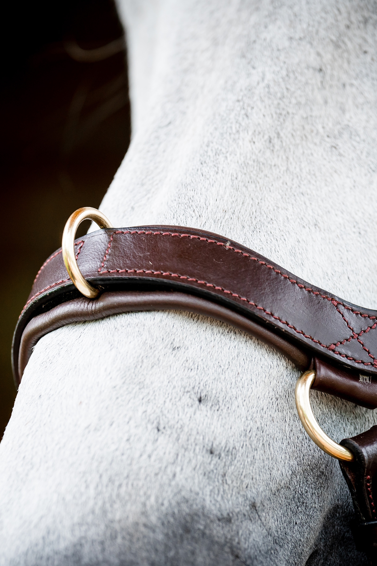 Horseware Micklem 2 Multi Suitset