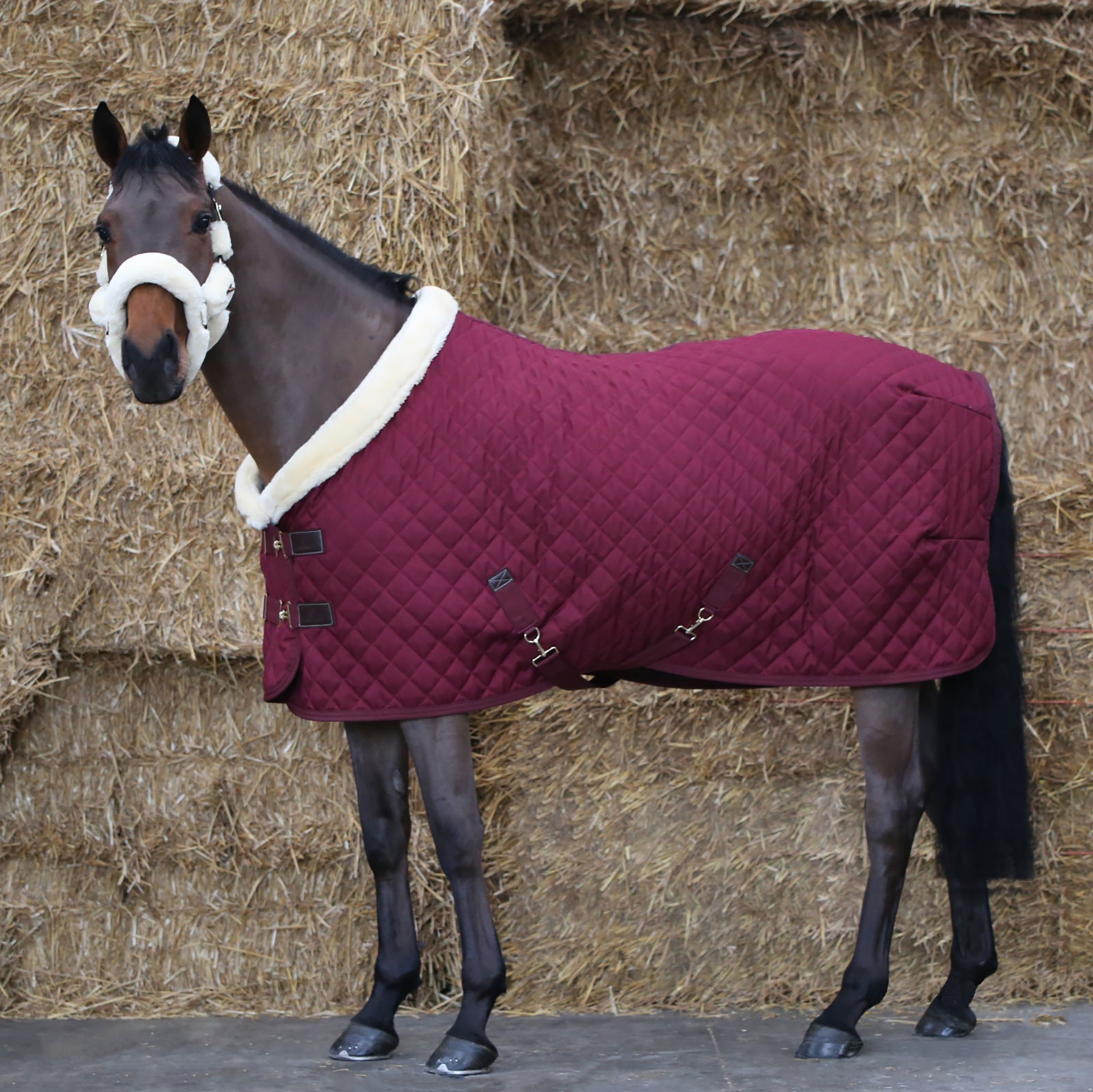 Dark Red Kentucky Horsewear kilpailuloimi, 160 g