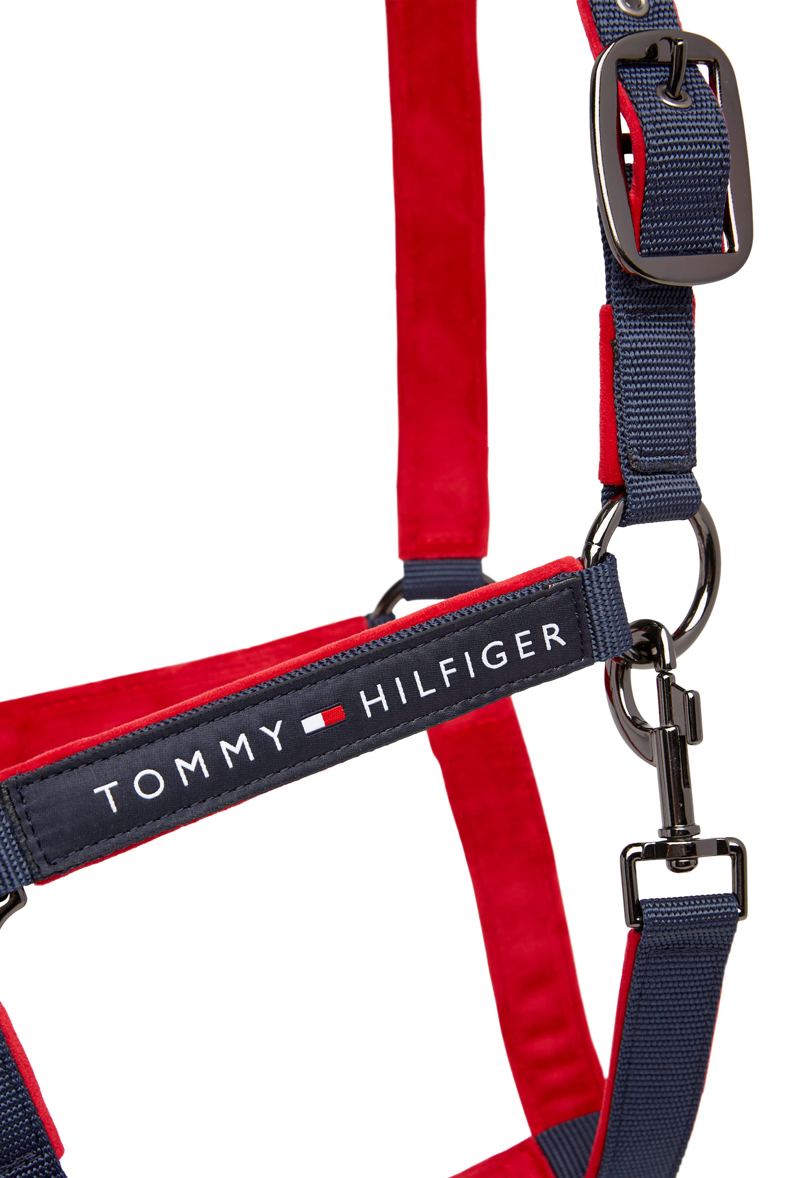 Tommy Hilfiger Equestrian GLOBAL Riimu