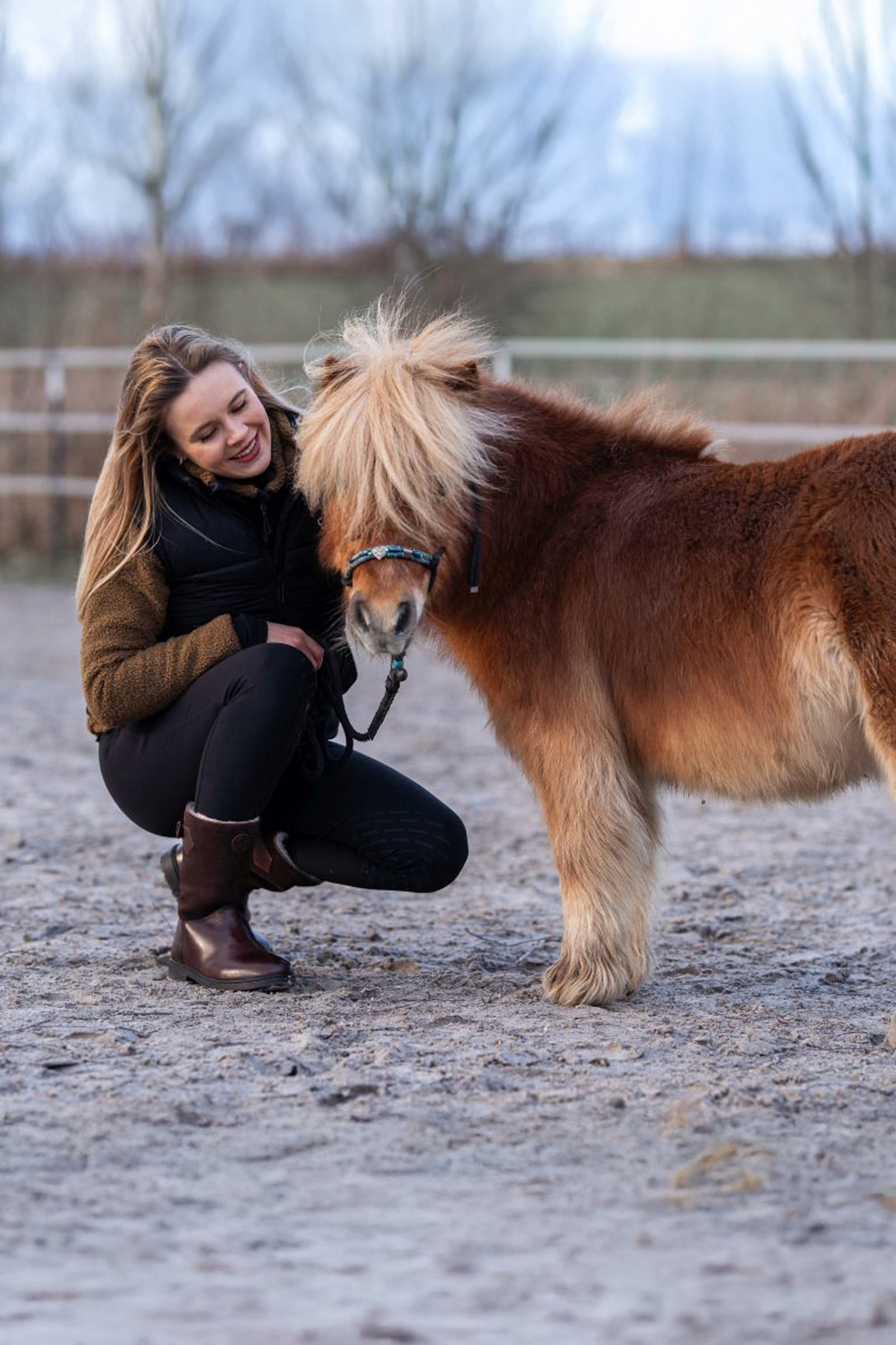Suedwind Footwear Leo Merino talviratsastussaappaat, puolipitkä varsi