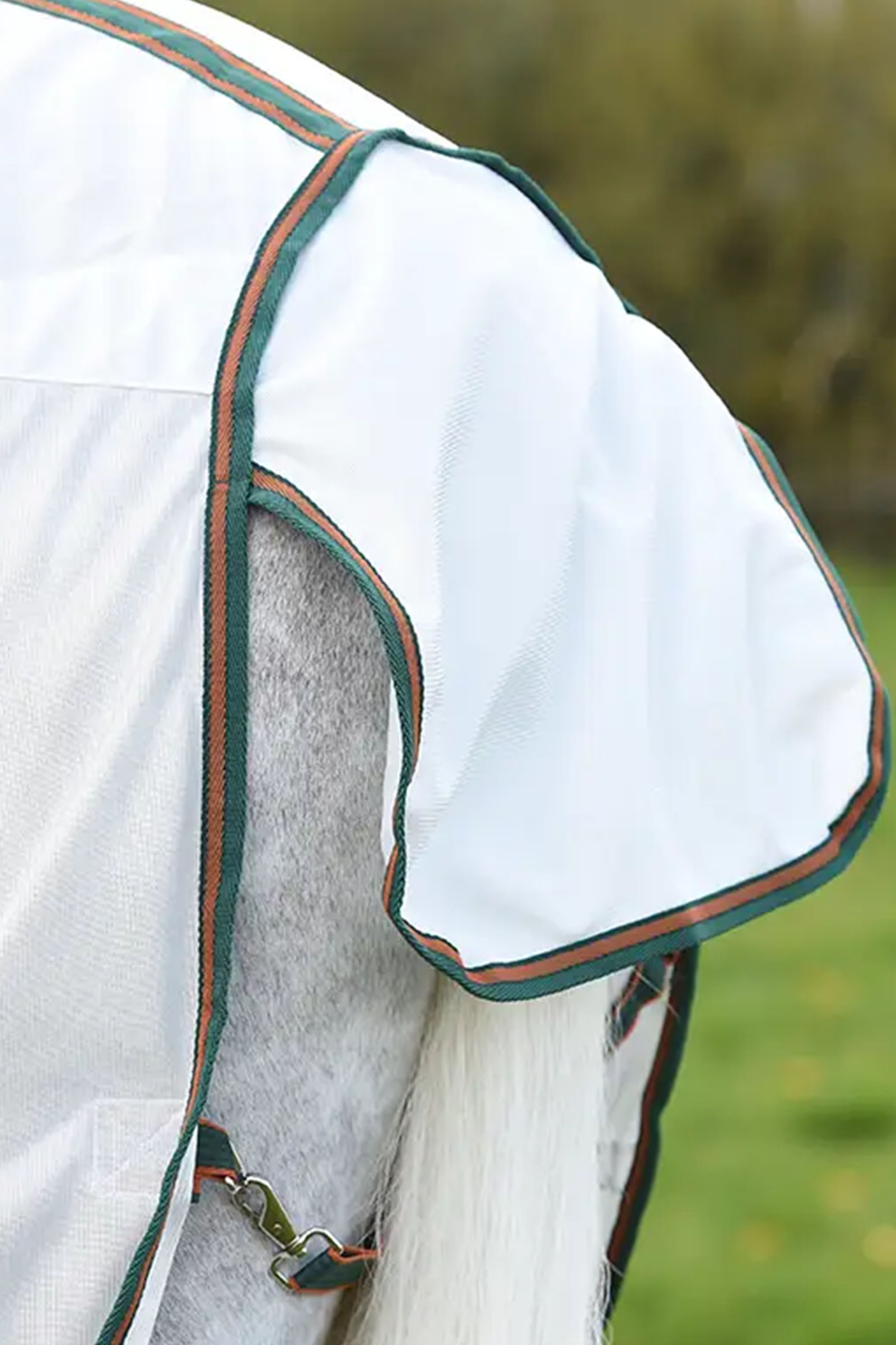 Weatherbeeta Comfitec Tyro verkkoloimi kaulakappaleella