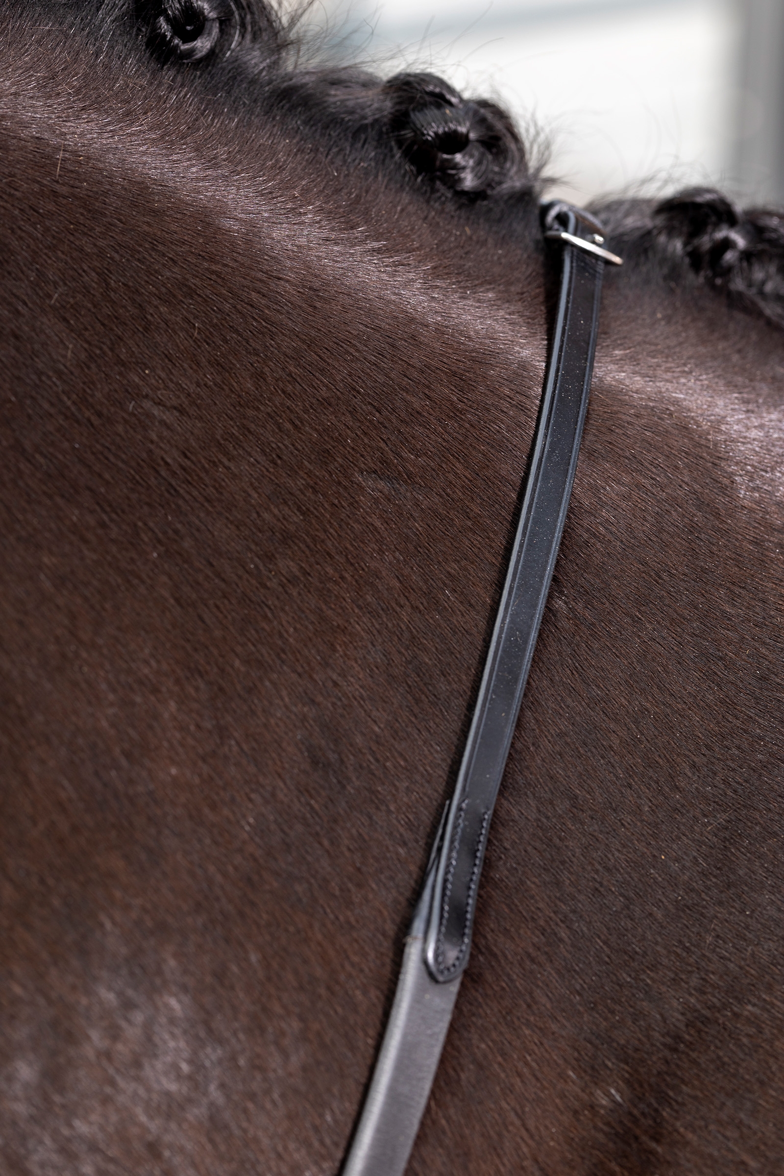 Brown/Brown LeMieux Kris Extreme Rubber Reins