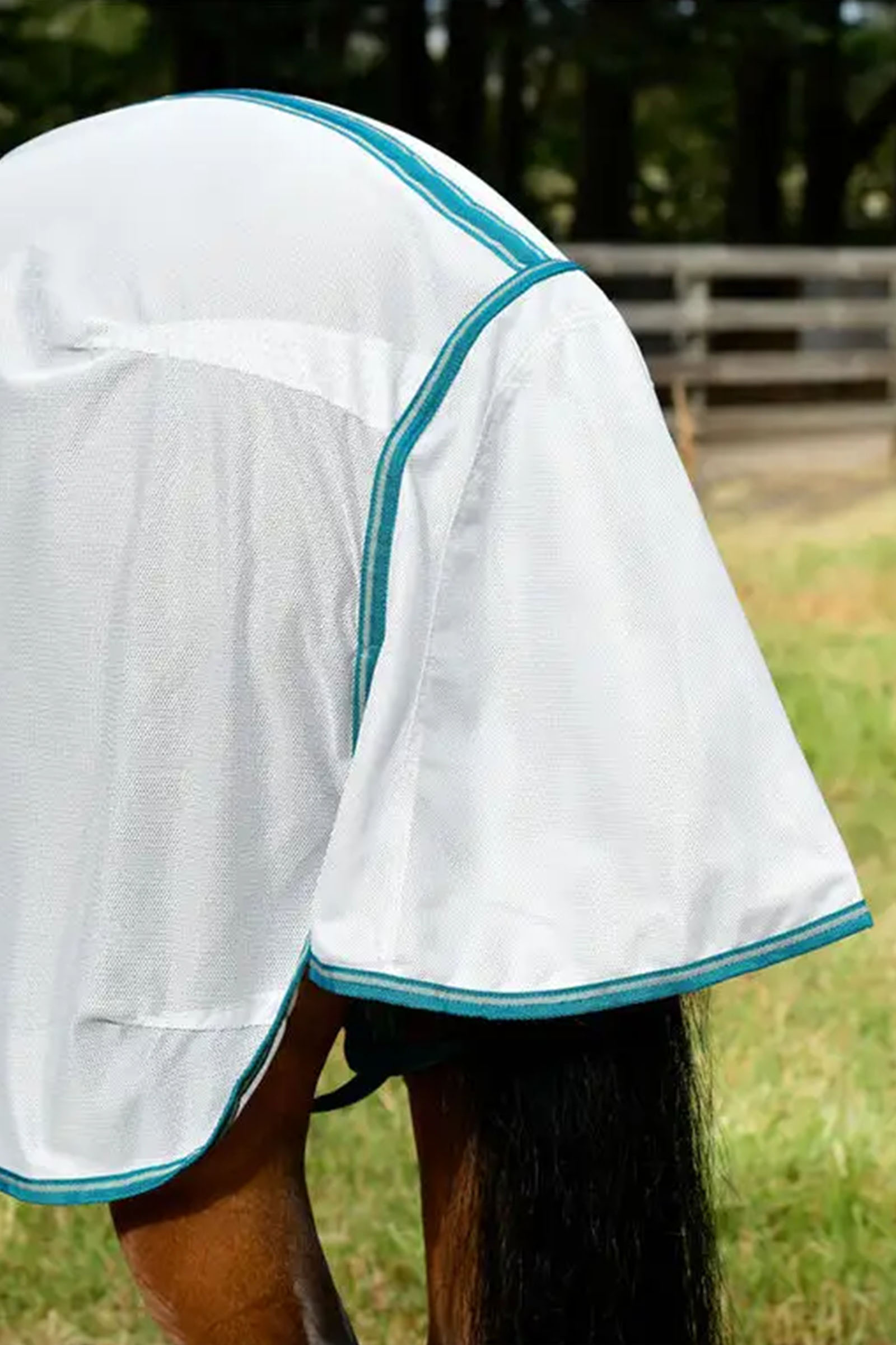 Weatherbeeta Comfitec Zephyr Plus Mesh Combo Hy&ouml;nteisharja