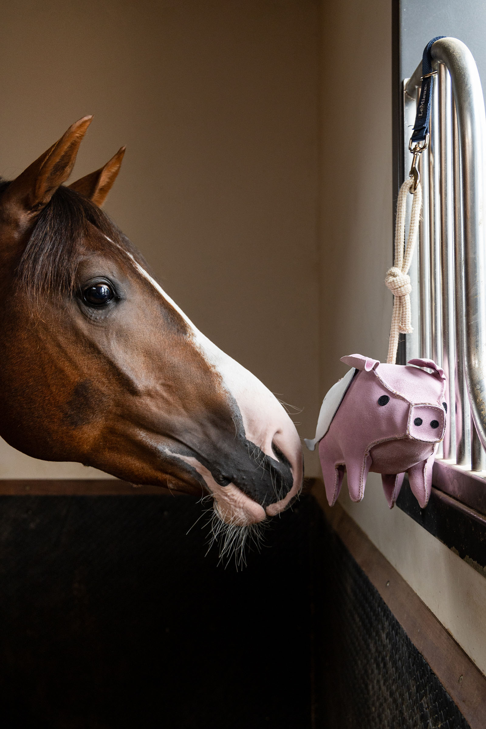 LeMieux hevosen lelu lent&auml;v&auml; possu