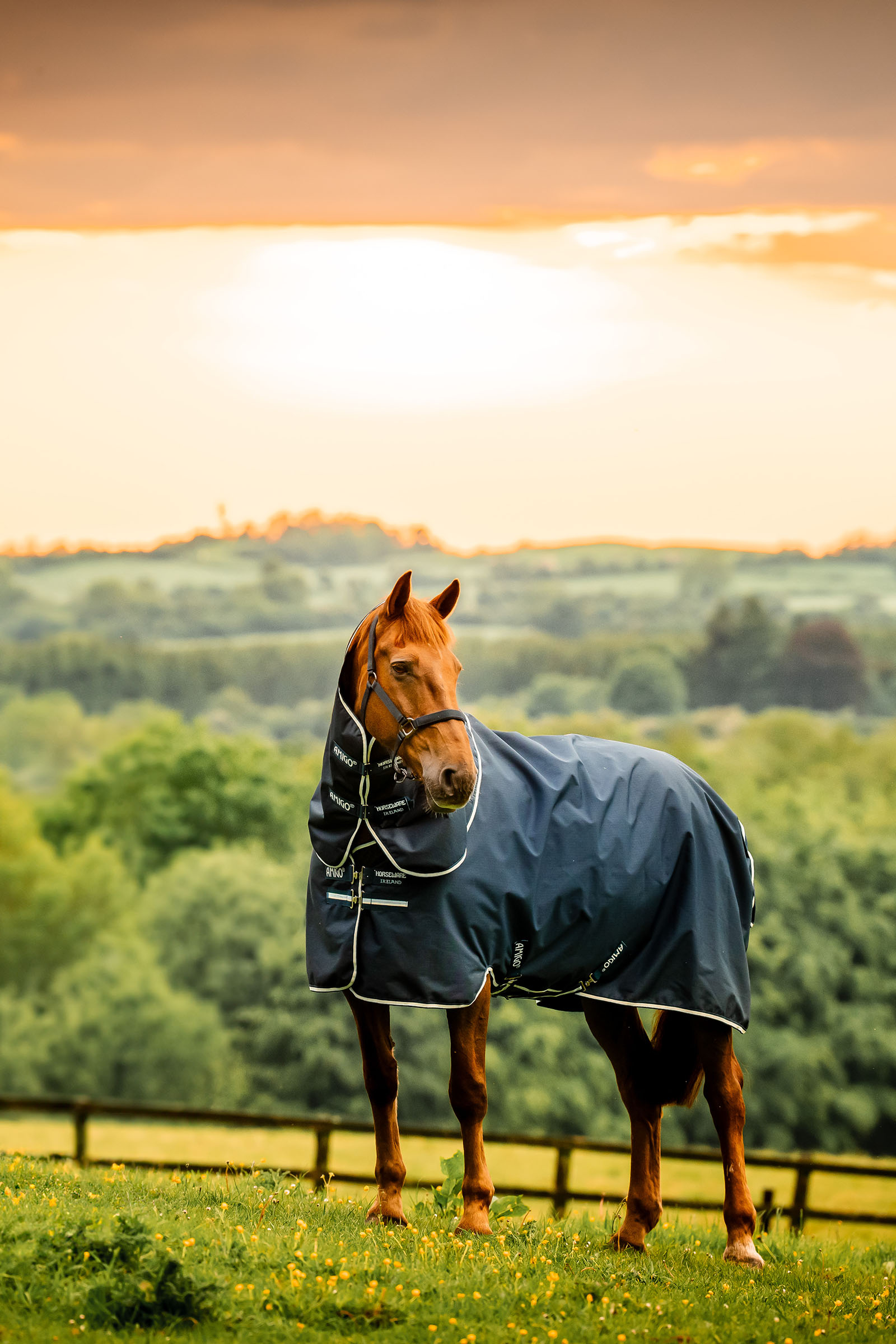 Witney Navy Horseware Amigo Ripstop 900D Plus ulkoloimi irrotettavalla kaulaosalla, 100 g