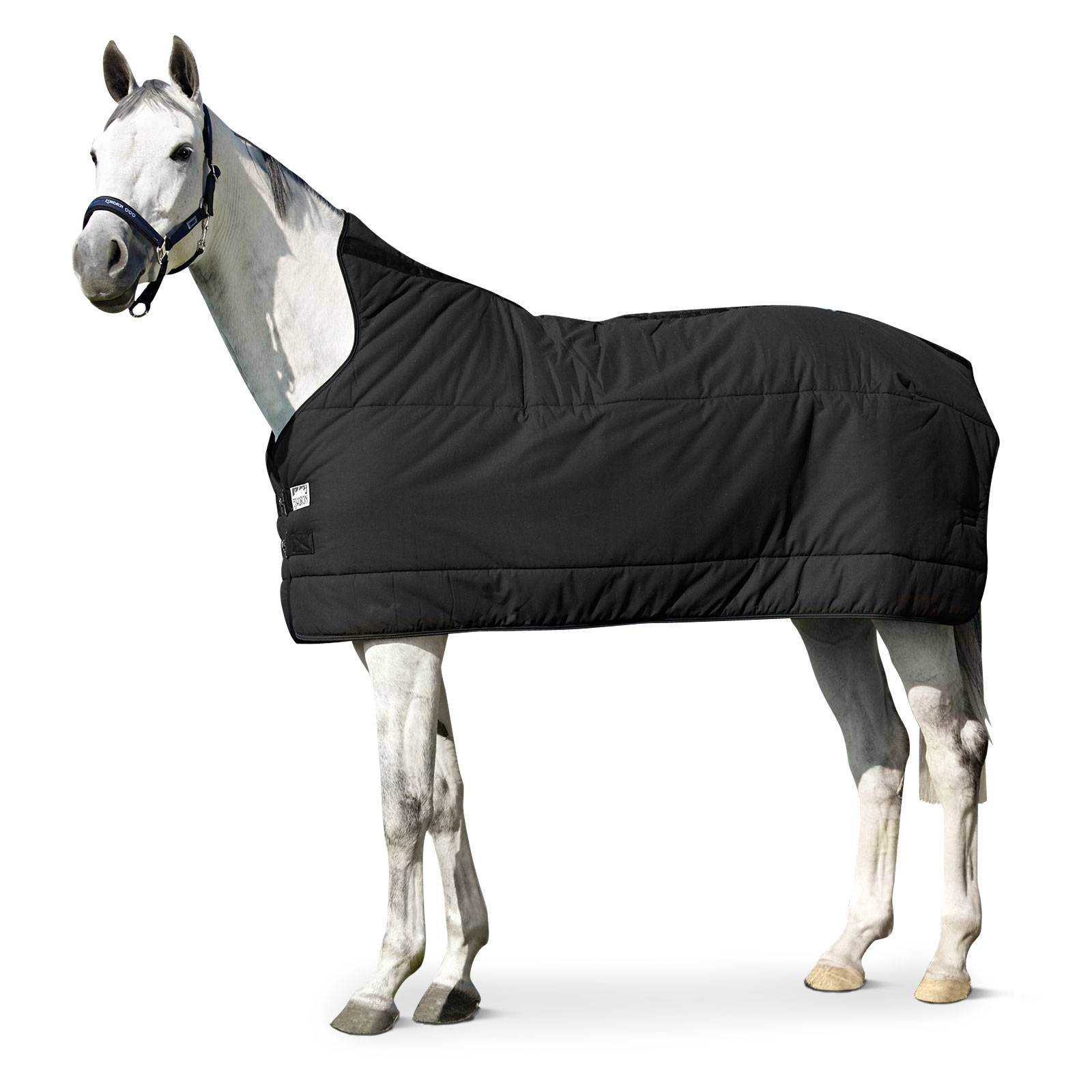 Eskadron alusloimi UNDER RUG 240 g