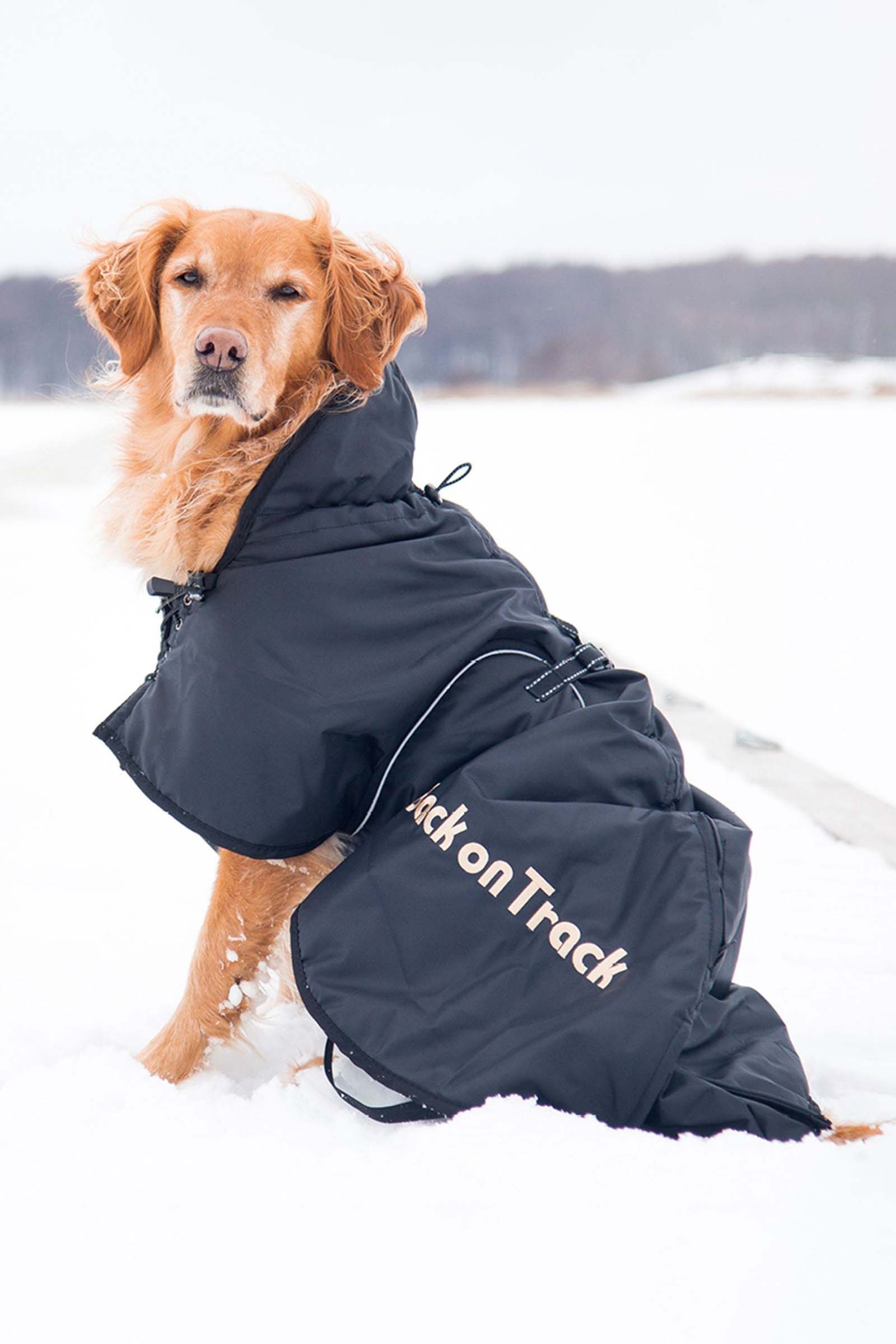 Back on Track koiranloimi (size 21-40)
