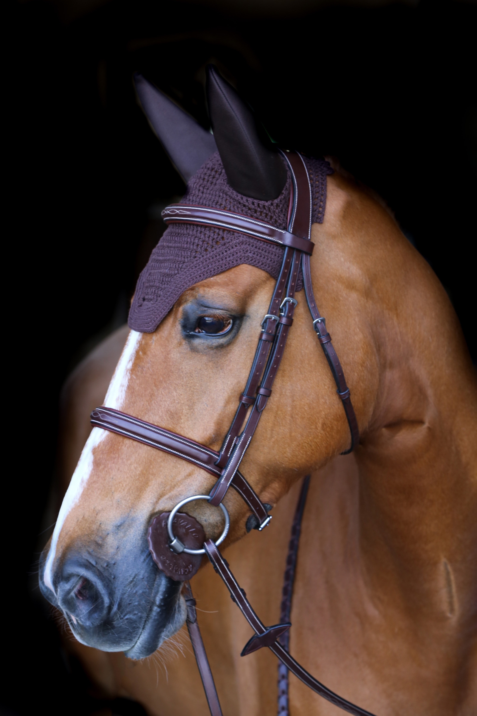 Brown Kentucky Horsewear Wellington Soundless -korvahuppu