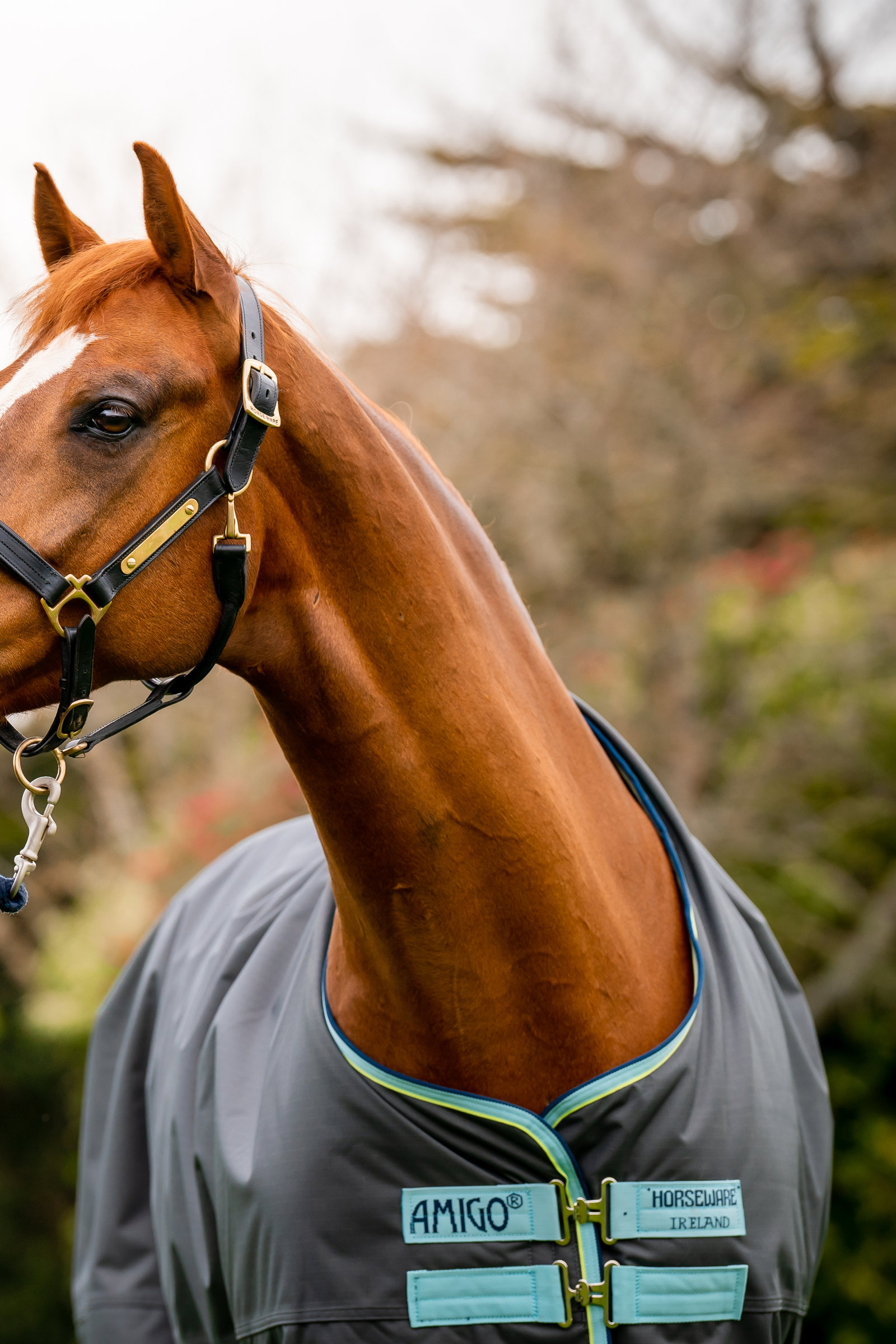 Horseware Amigo Hero Ripstop Plus ulkoloimi irrotettavalla kaulaosalla, 200g