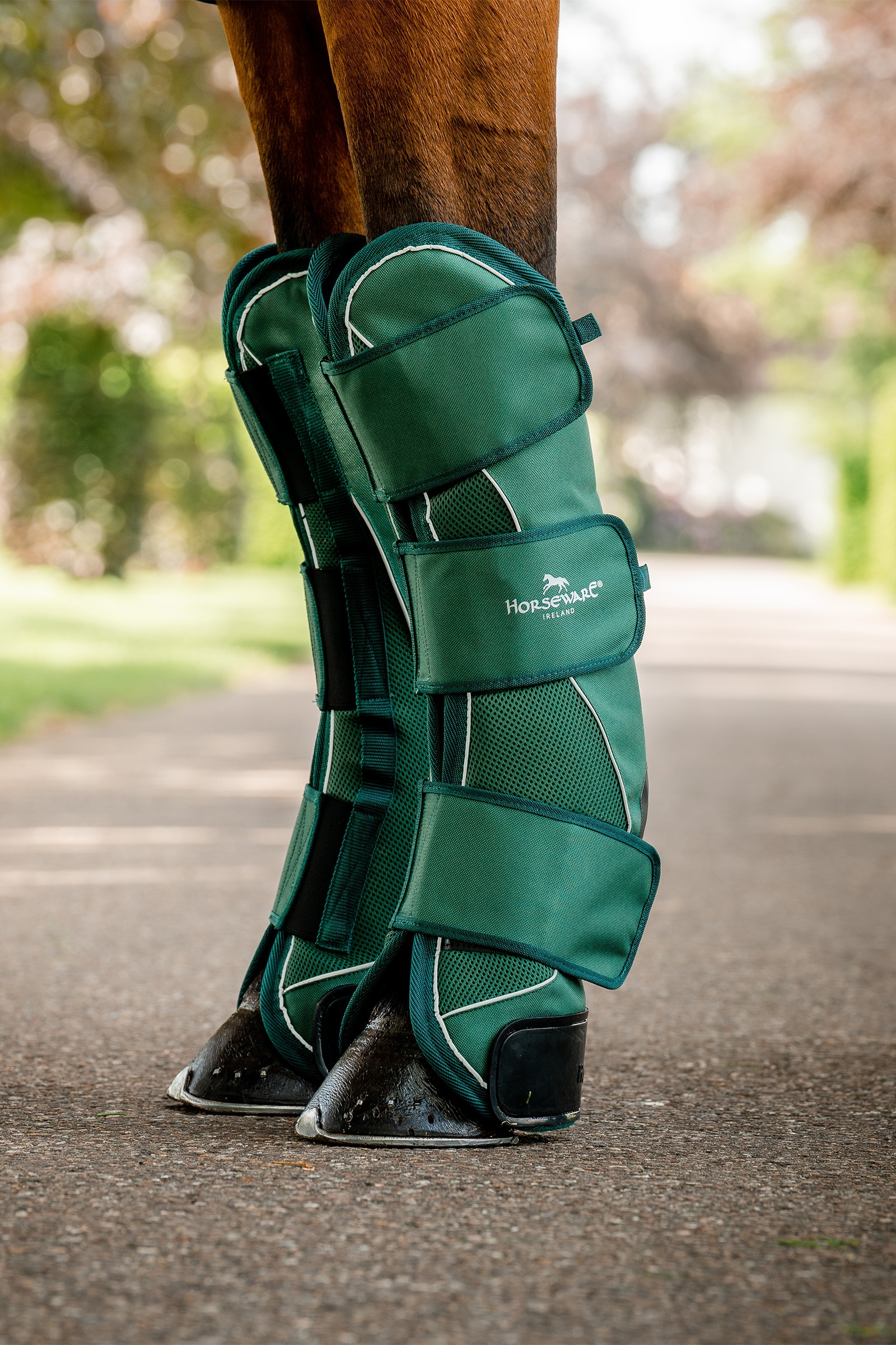 Horseware Signature Kuljetussuojat