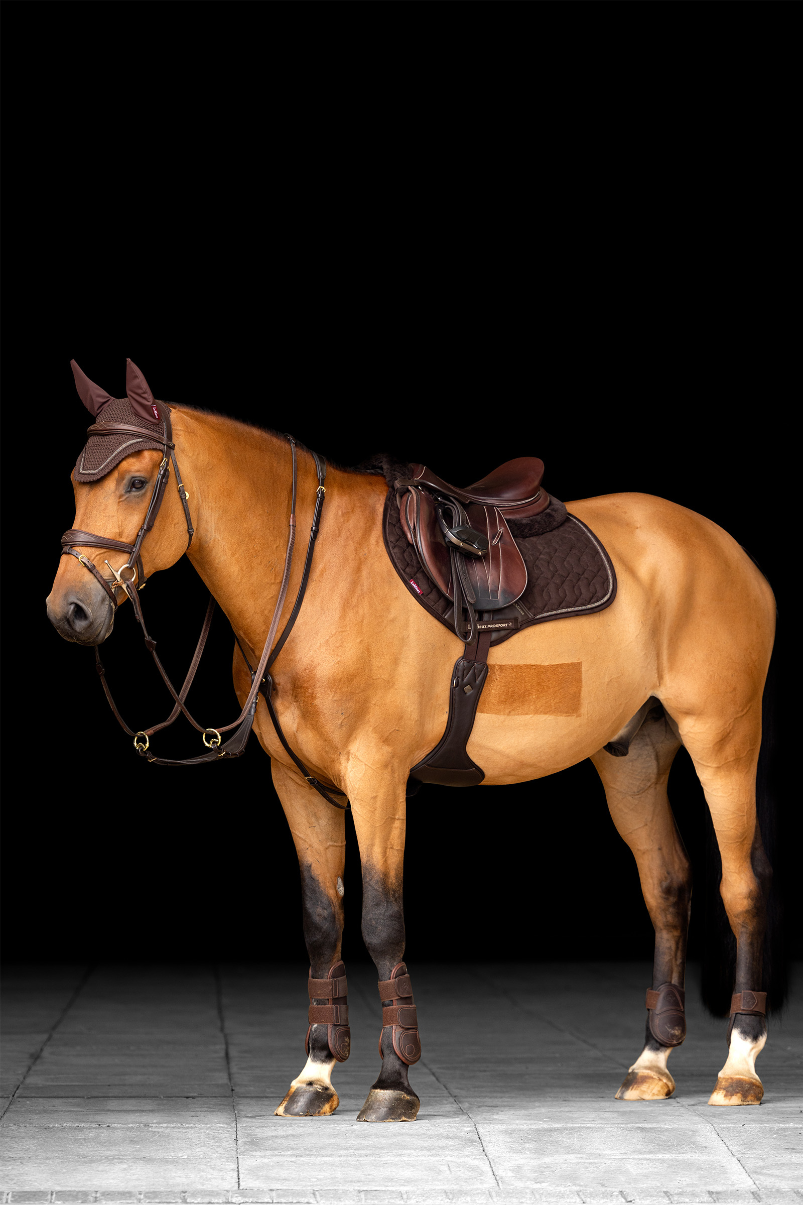 LeMieux Crystal Suede Close Contact estesatulahuopa