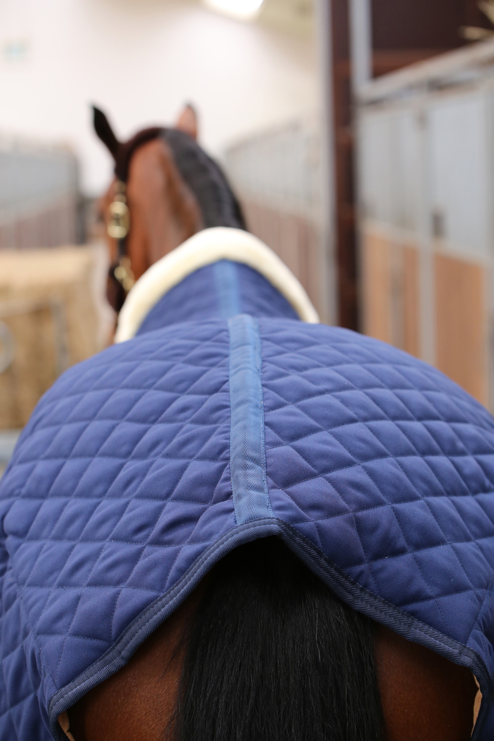 Kentucky Horsewear talliloimi 400 g
