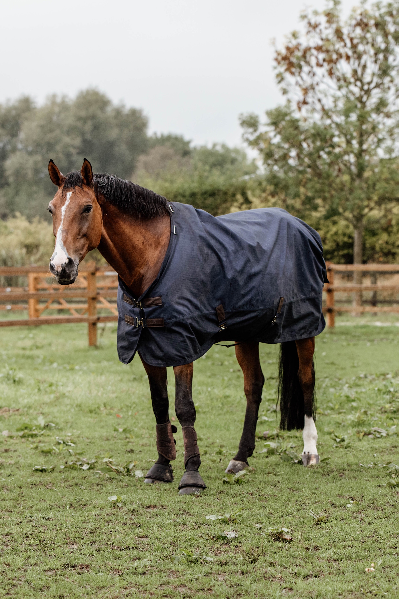 Kentucky Horsewear All Weather ulkoloimi, 300 g