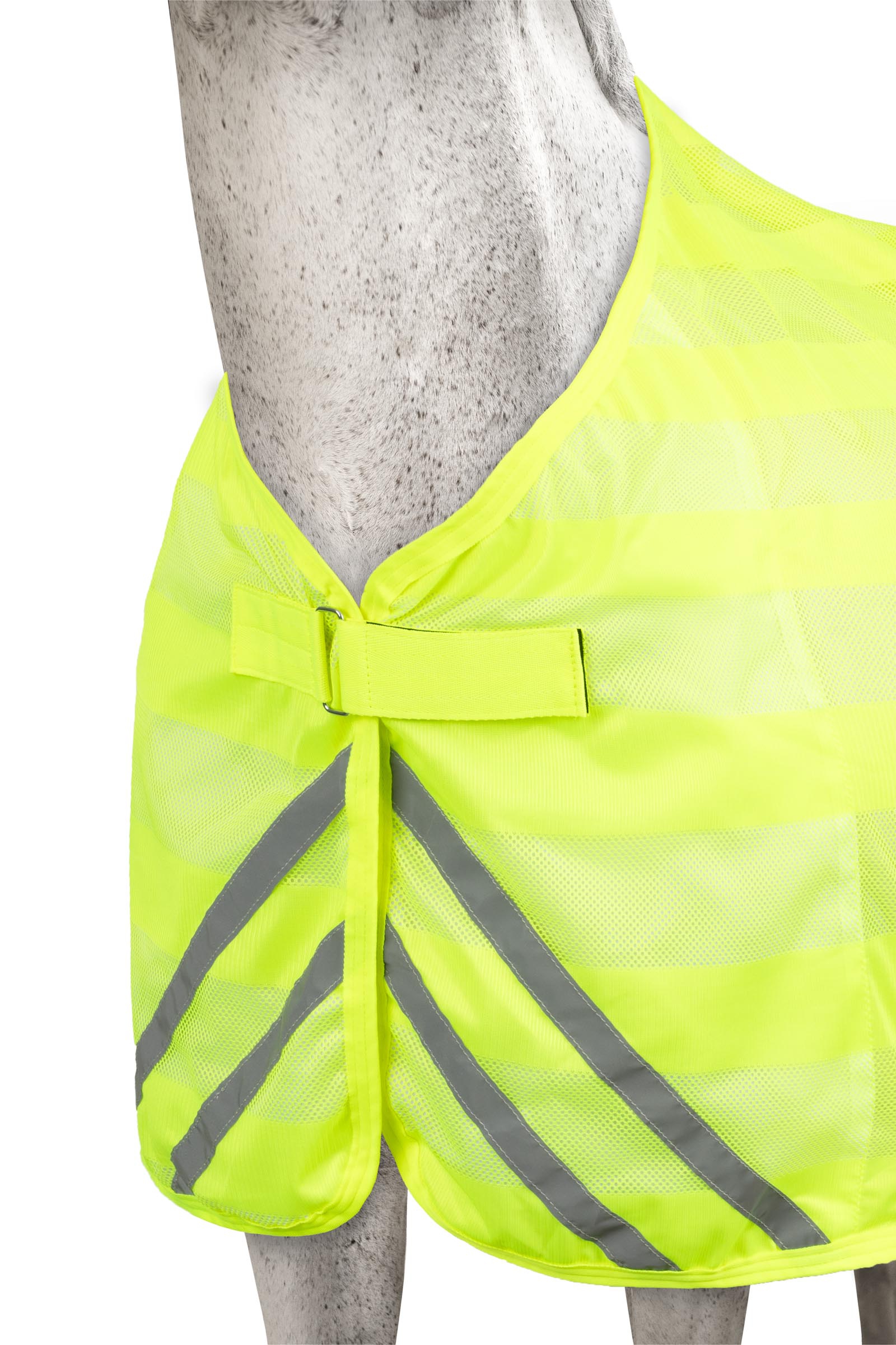 Horze heijastava verkkoloimi