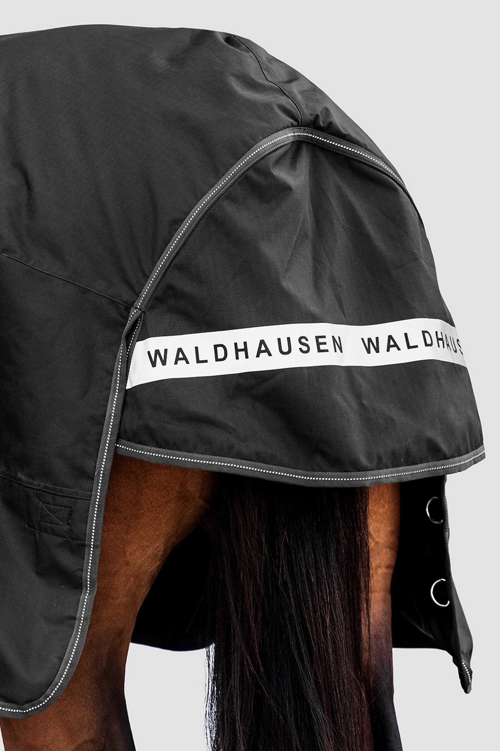 Waldhausen ulkoloimi Arctic 300 g