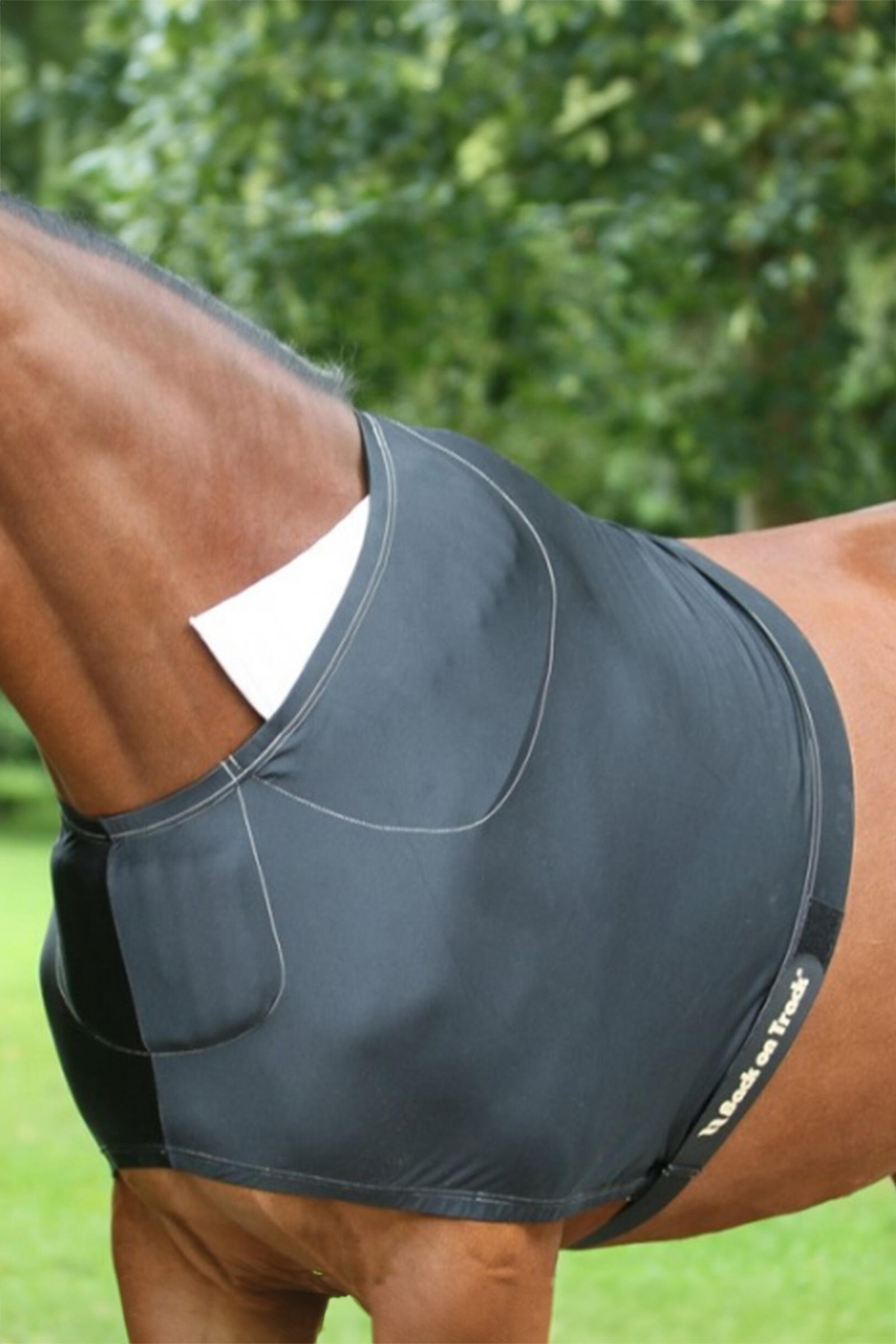 Back on Track lapasuojus