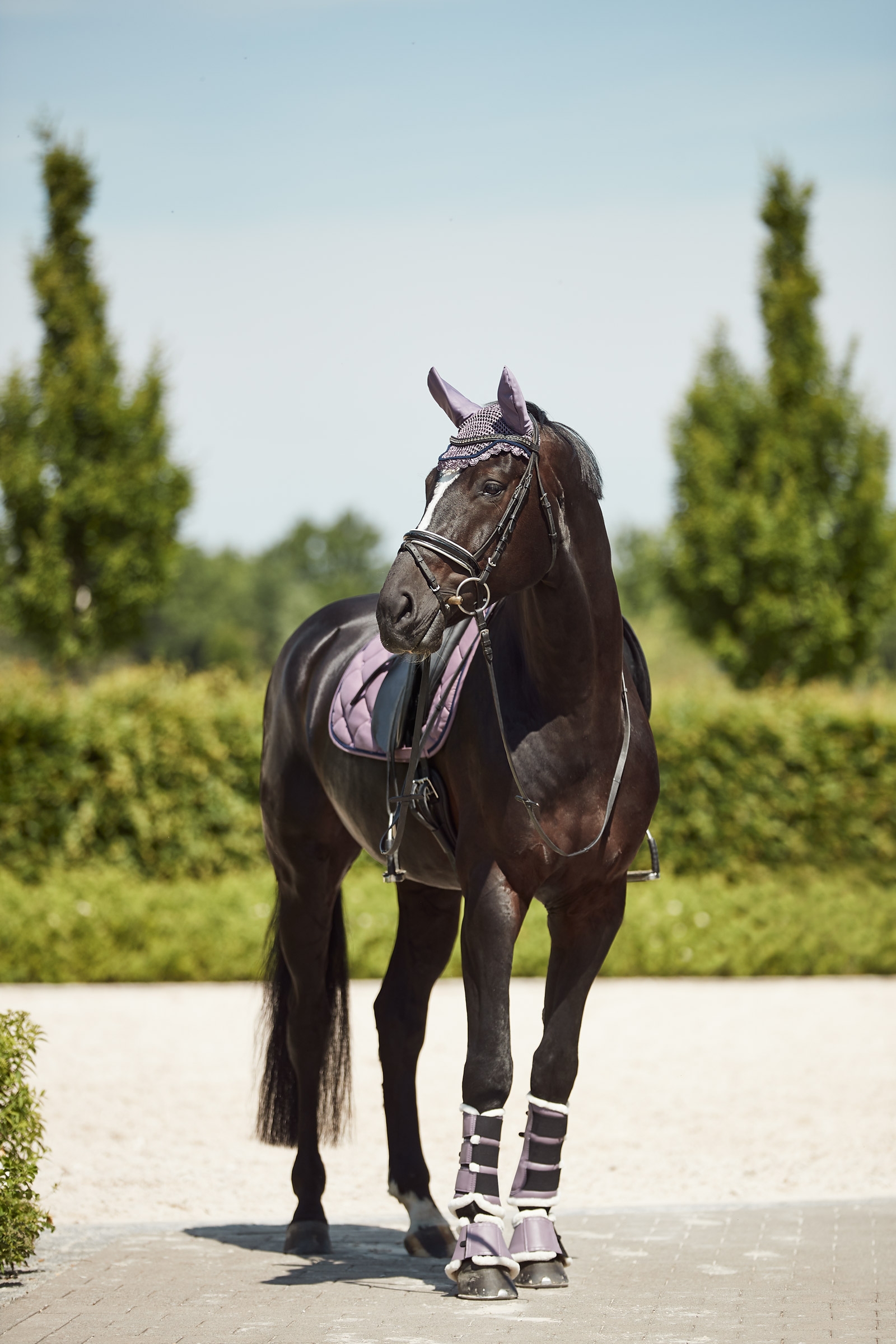 Horze Ghent hivutussuojat tekoturkiksella