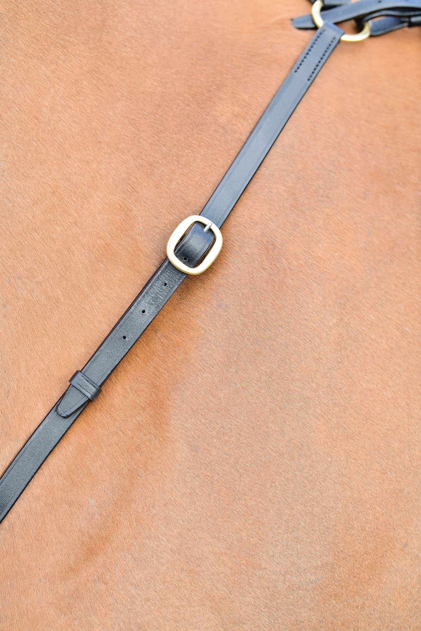 Kincade Classic 3-pisteen rintaremmi juoksevalla martingaalilla