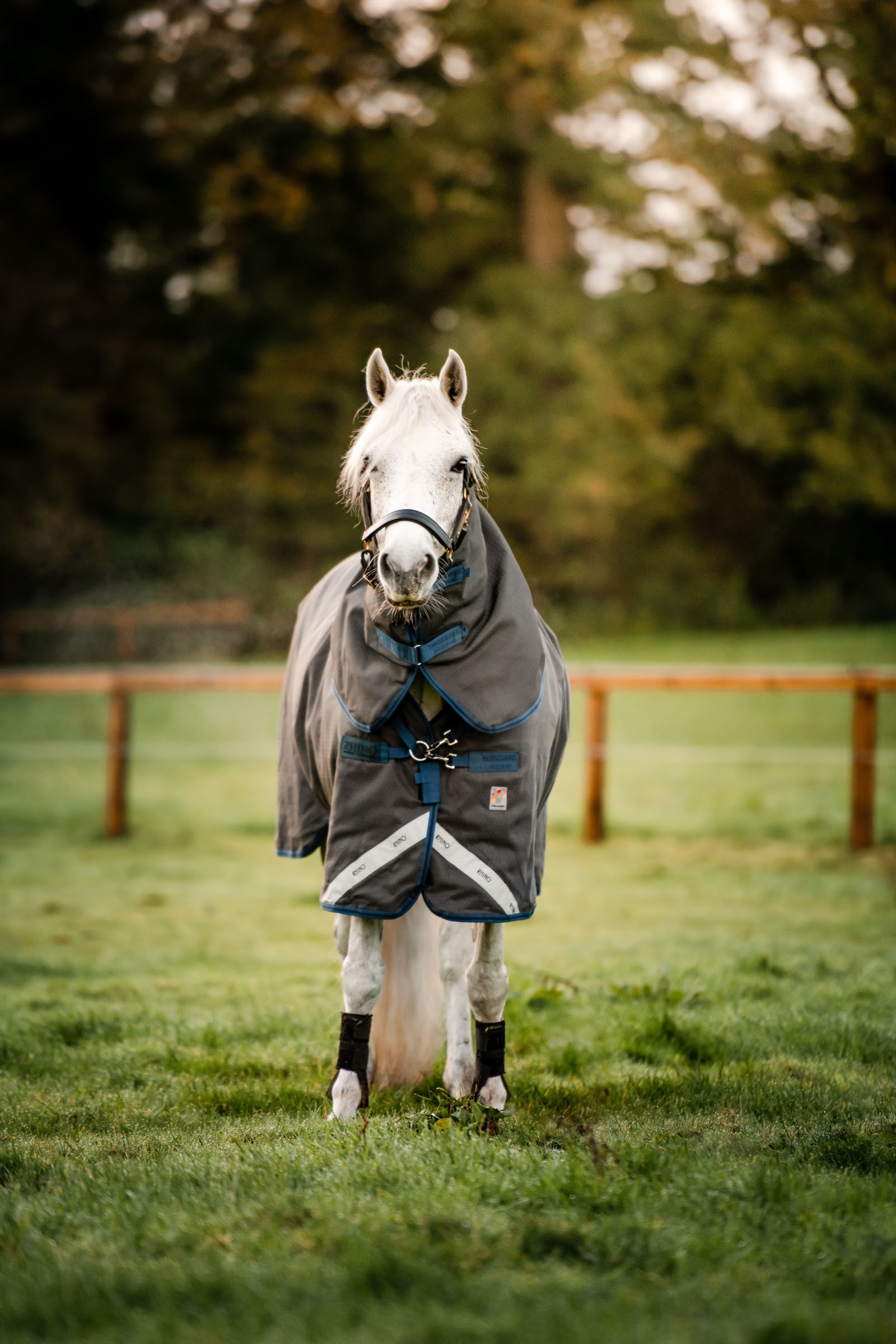 Horseware Rhino Hexstop Plus Vari-Layer ulkoloimi, 250 g