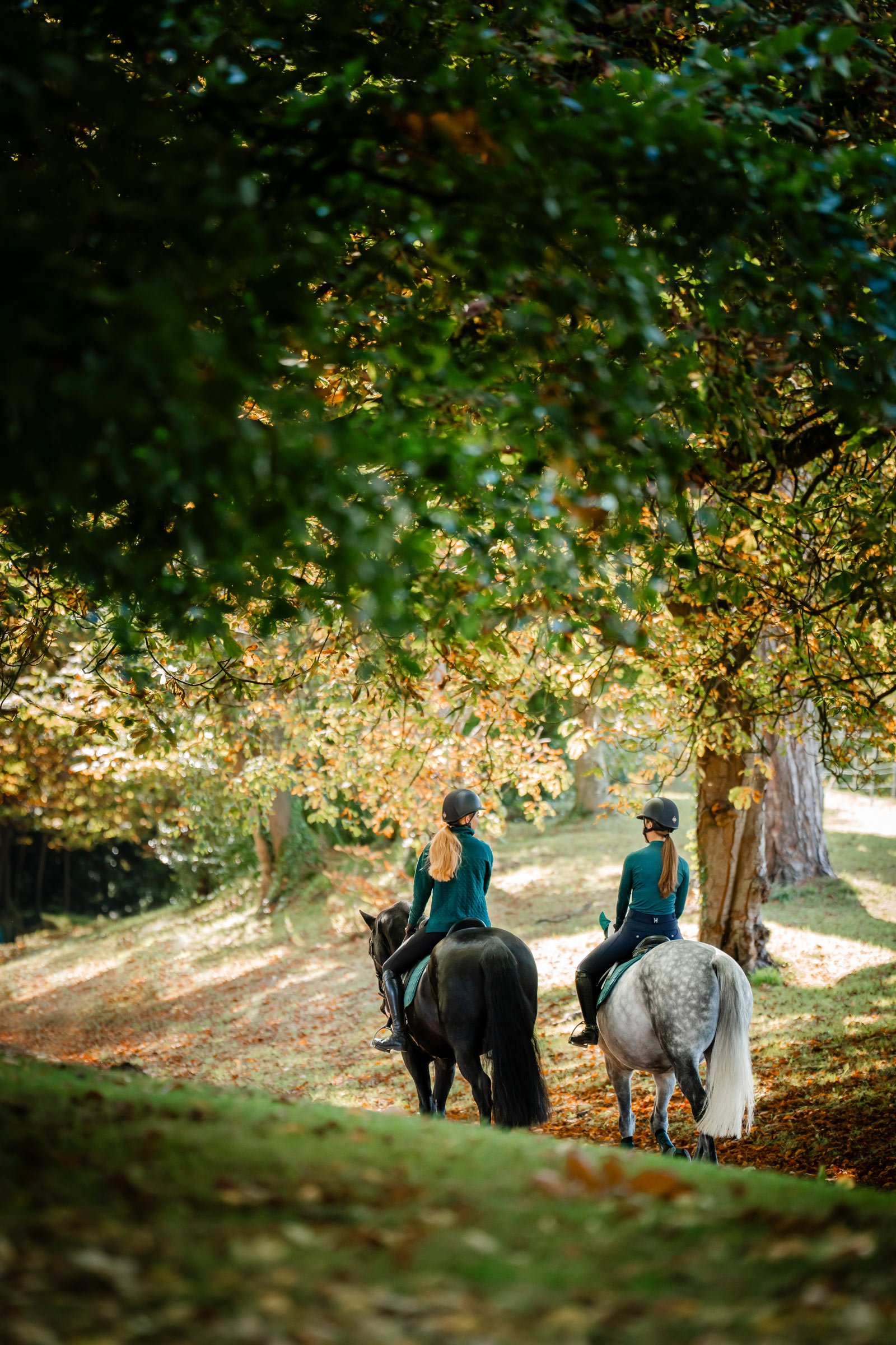 Horseware Strive Winter naisten 1/4-vetoketjupaita