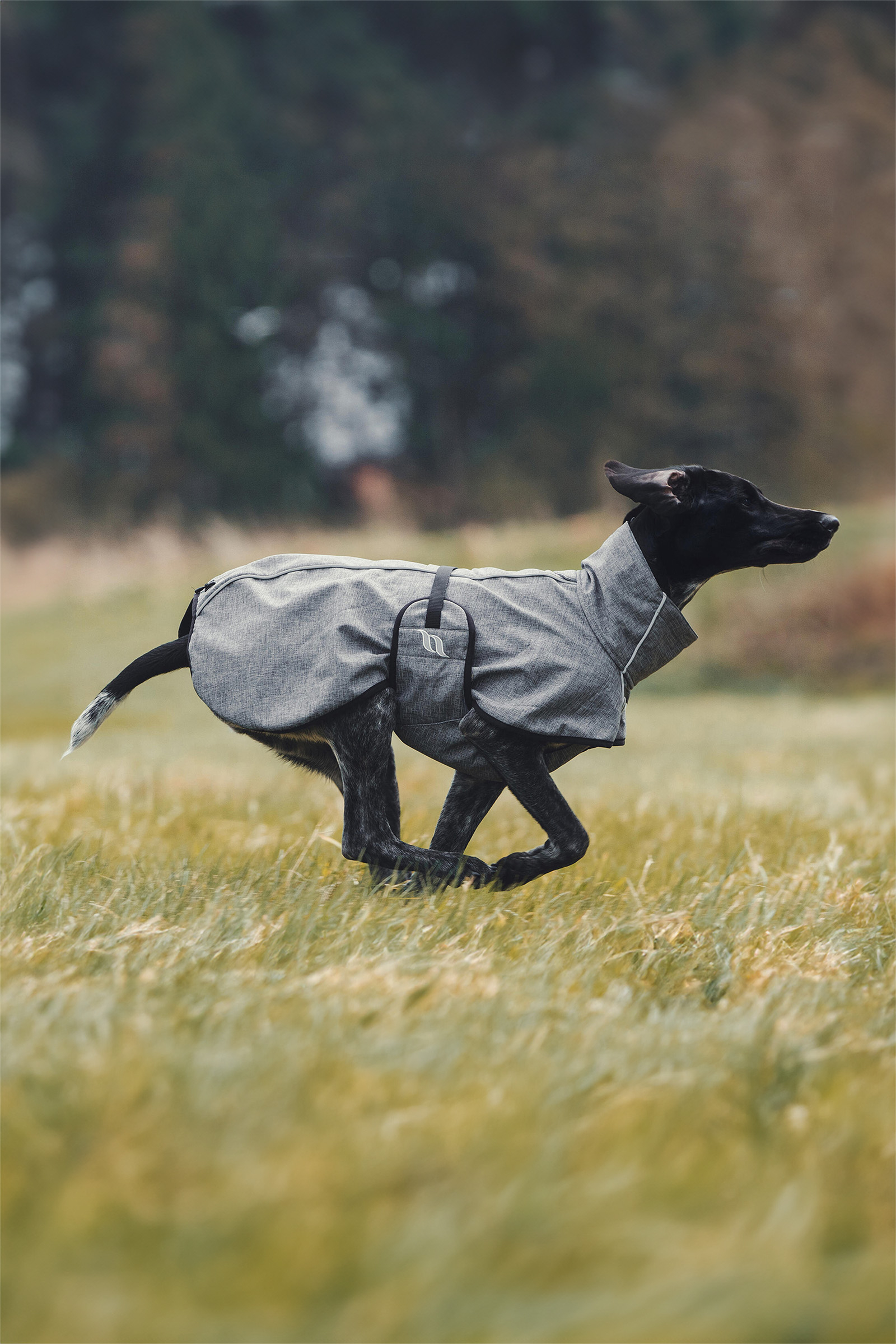 Back on Track Bark All-Round Dog Coat, 40-50cm